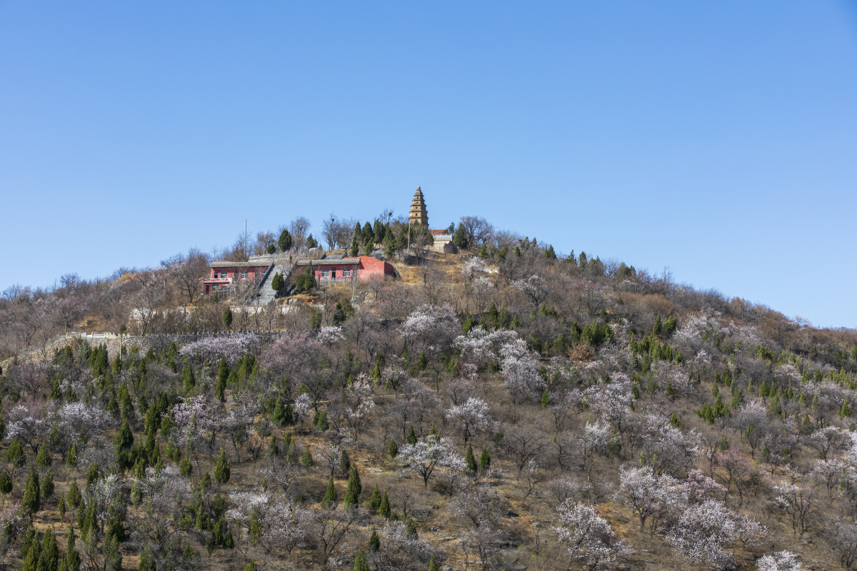 以下是中牟县五大旅游景点,让您领略这片美丽的土地