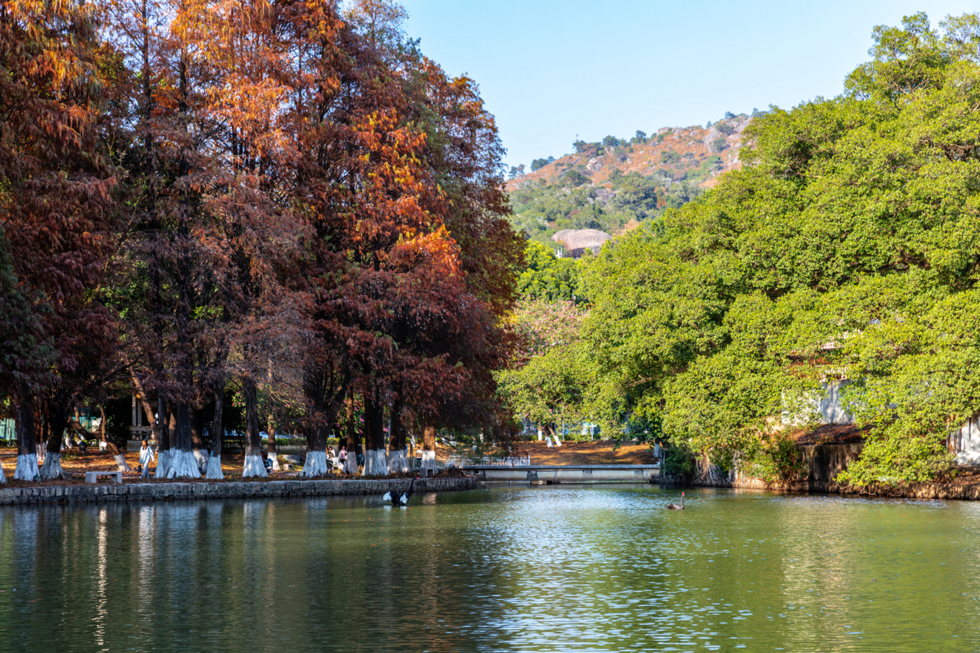 汕头大学回应给每位本科生发5千元 近日,网传汕头大学给本科生发5千元
