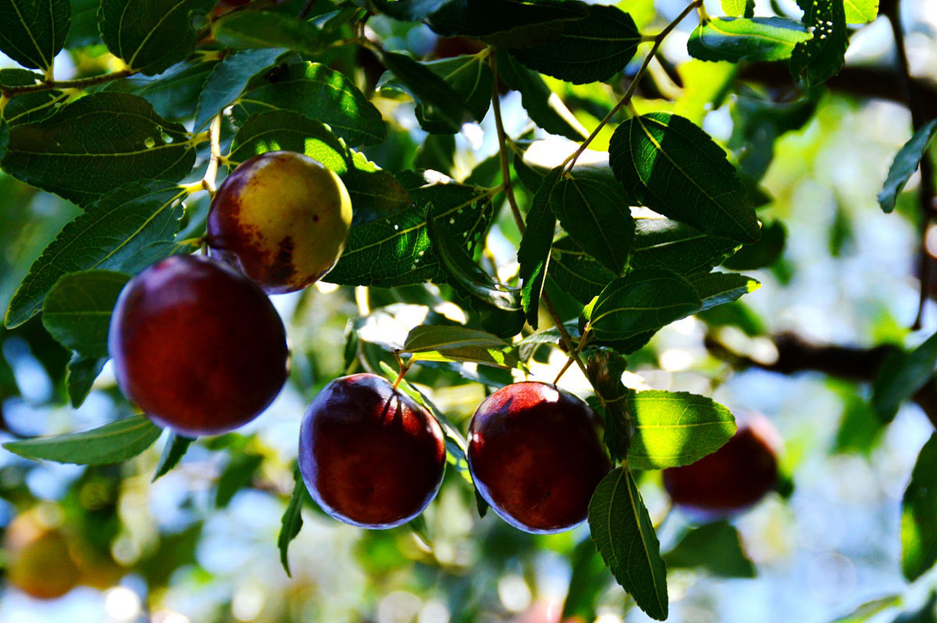 新建的省道线经过了我阿姨家旁边,经过测量道路边上1