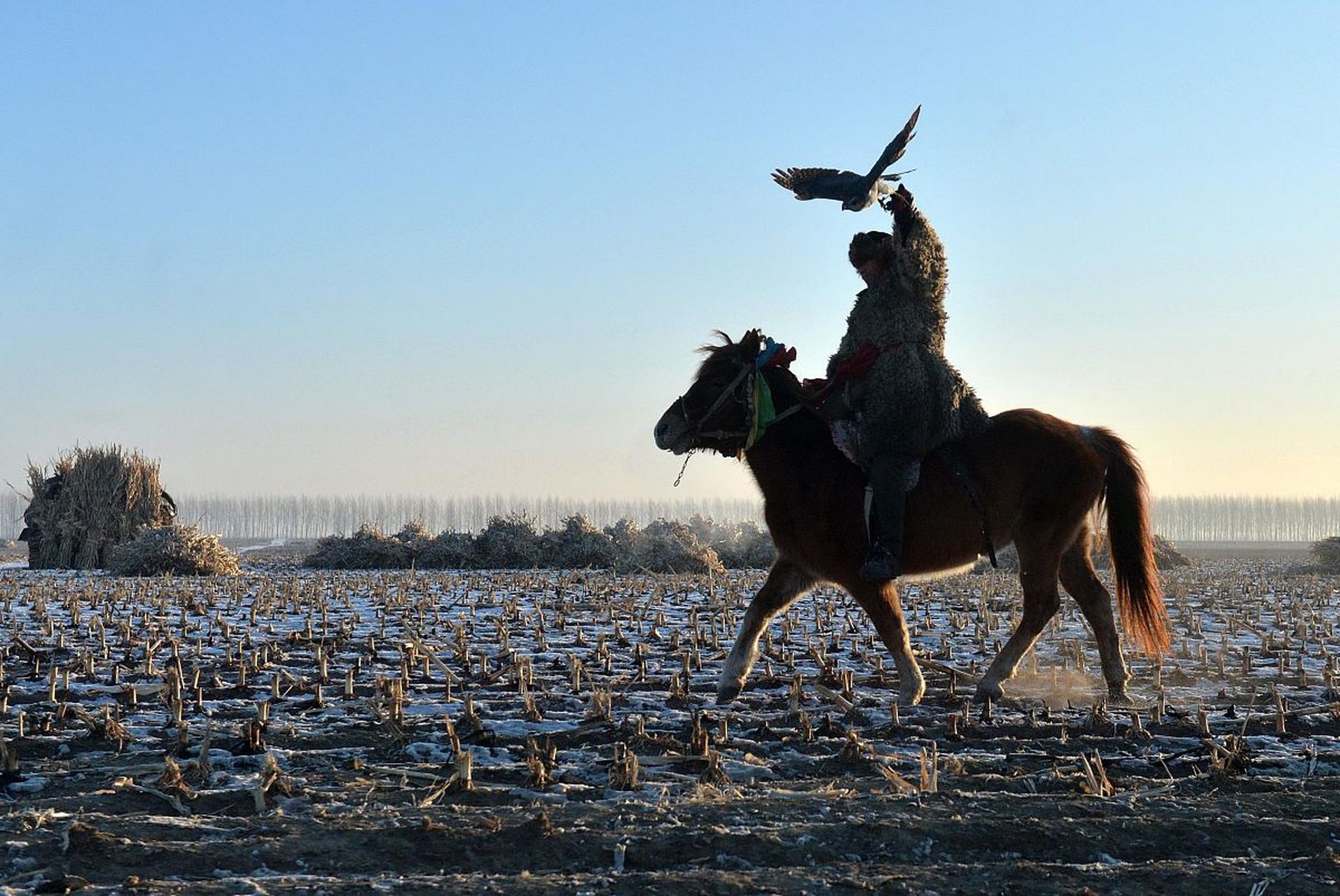 一直有人想知道,也有人问我:俄语中的"乌拉"是什么意思?