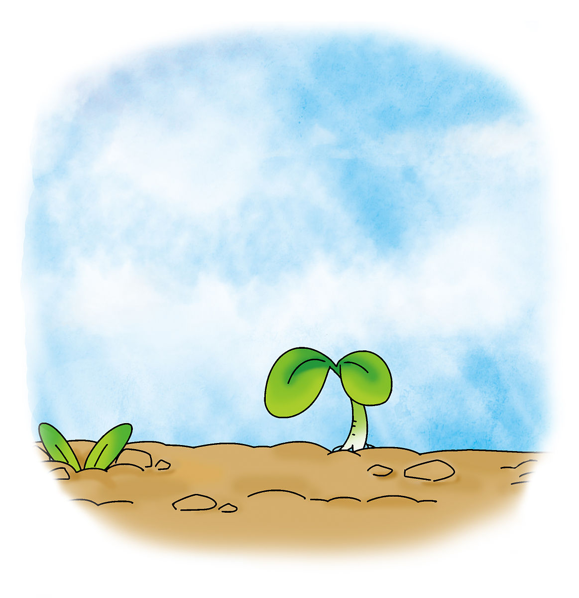 生机勃勃卡通图片神话枯萎树苗卡通图真正艾叶图片卡小种子的生命之歌