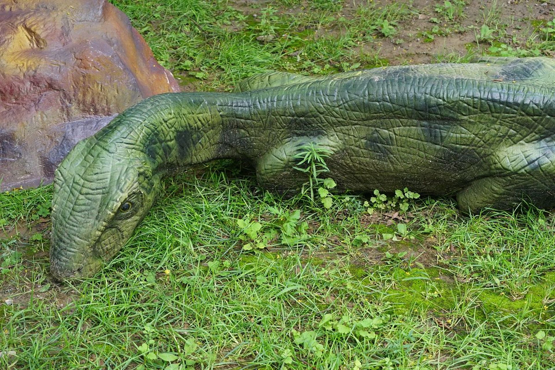 世界上最大的陆地爬行动物是恐龙中的蜥脚类恐龙,其中最著名的代表是