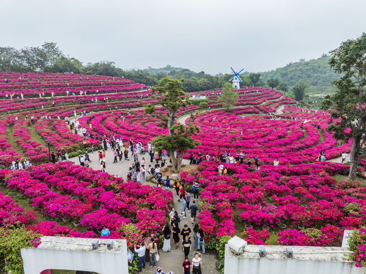 垫江牡丹园位于重庆市垫江县,是一个集观赏,休闲,娱乐为一体的田园