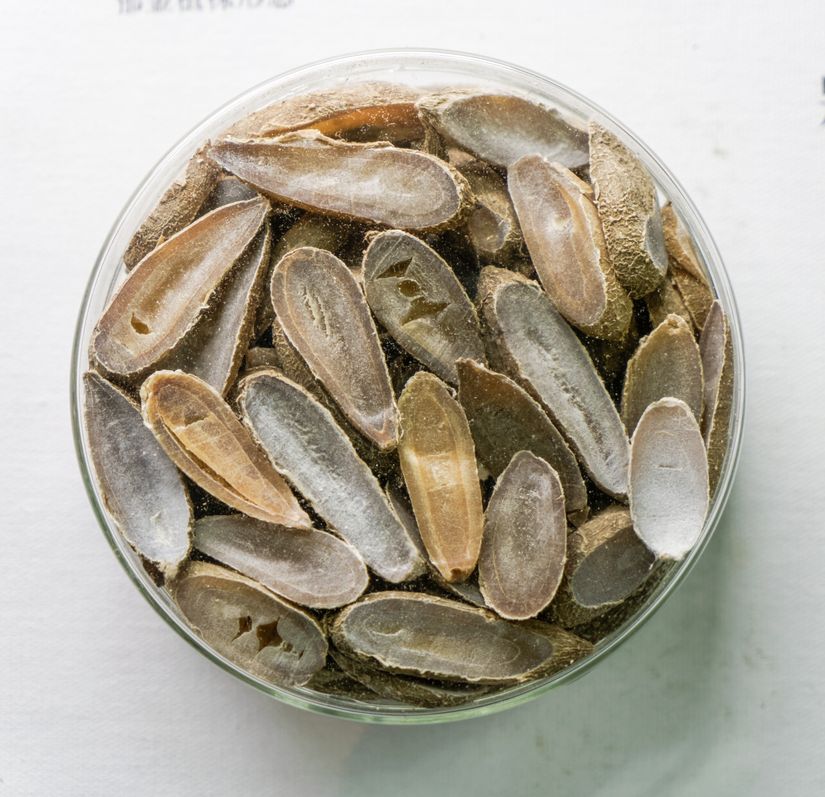 广东星子红瓜子:连州的吉祥之果