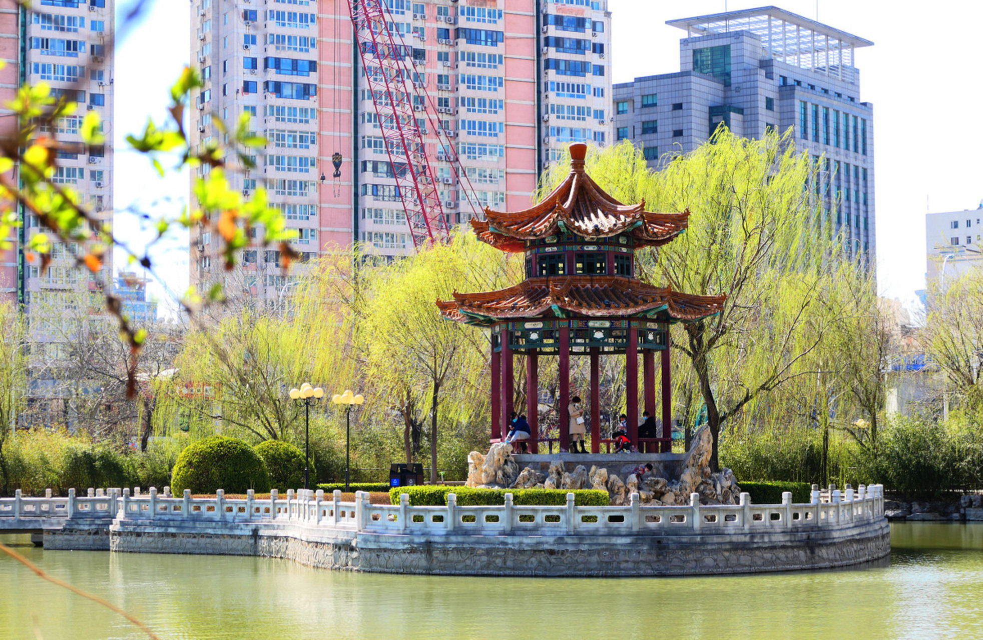 心定西再出发#位于甘肃定西市中心的玉湖公园是一处历史悠久的公园