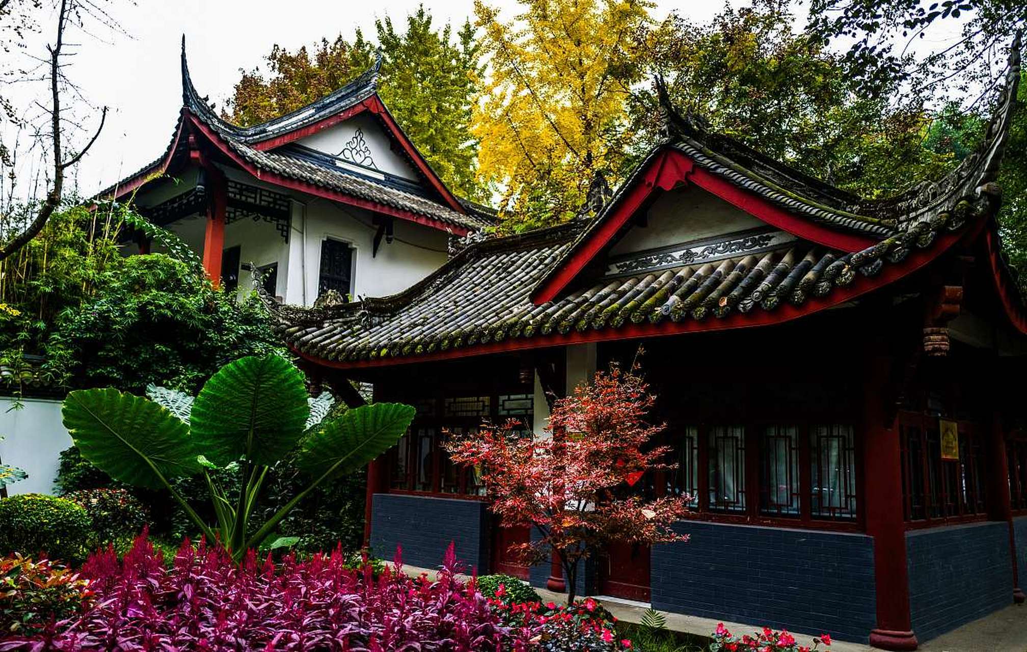 我推荐最美百花湖森林公园,在百花湖森林公园如果你从山脚登到了山顶