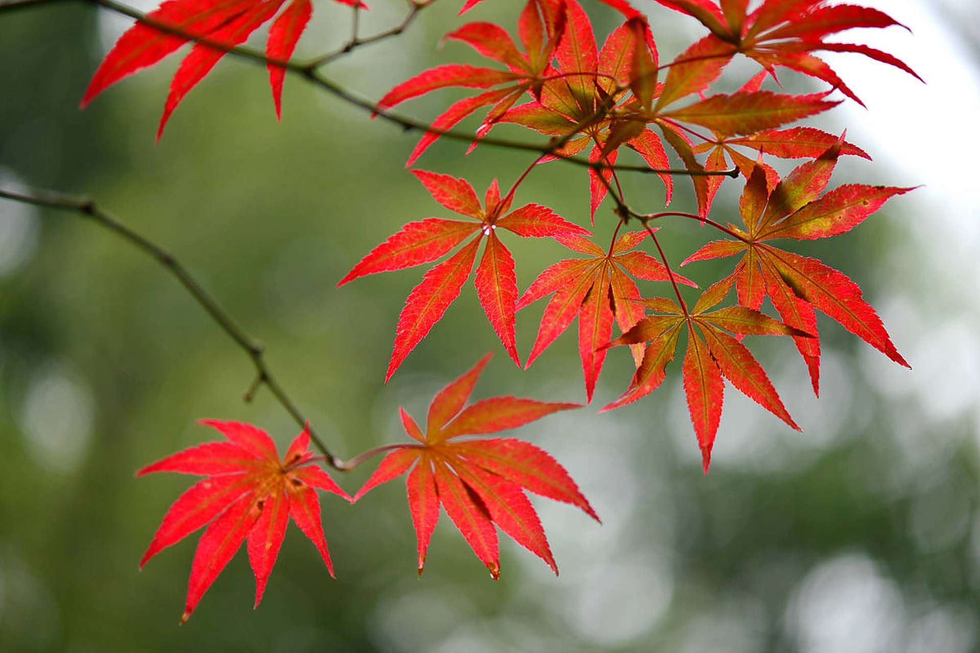 动态创作月# #动态创作者扶持计划# #早安心语