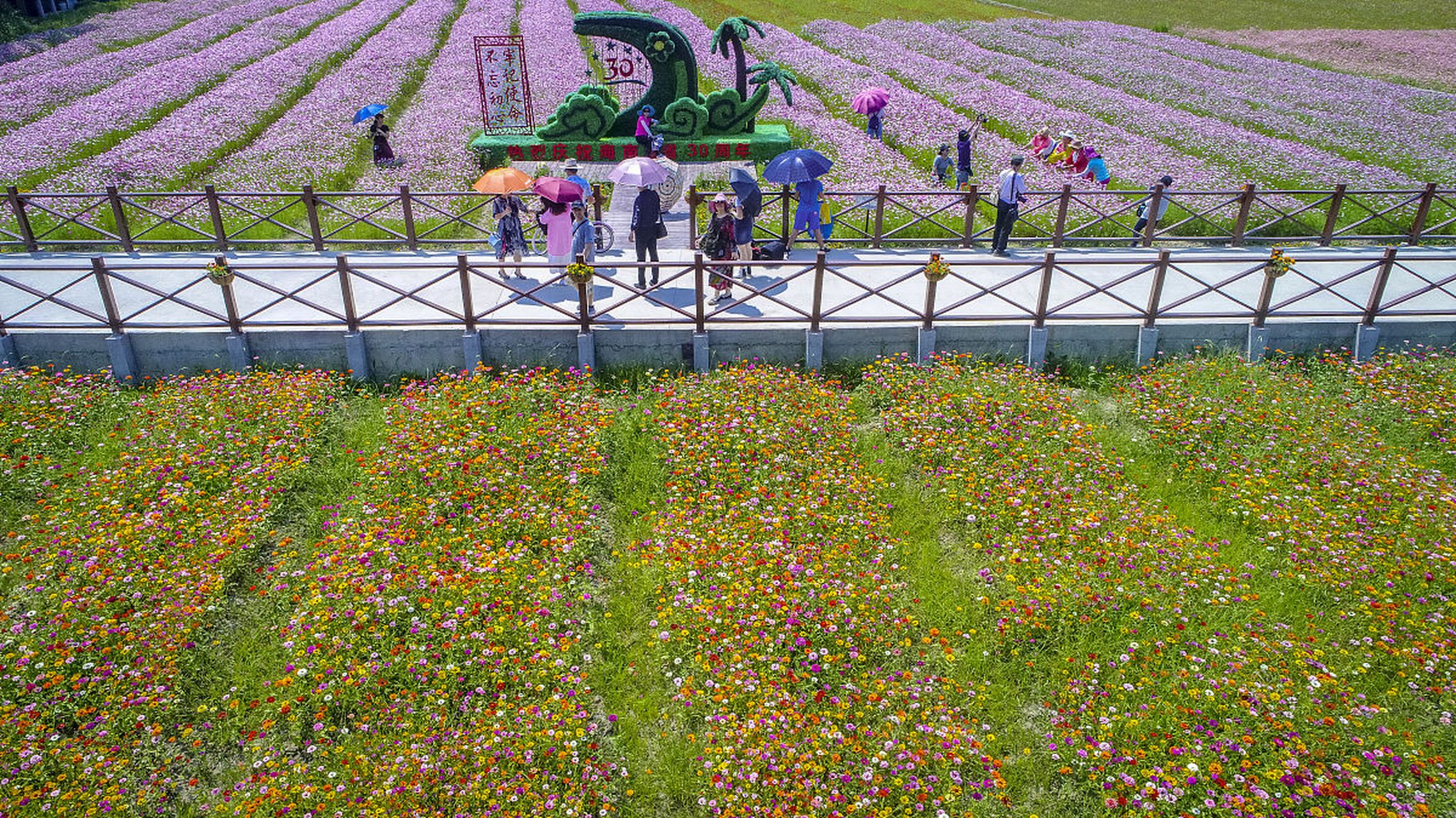 成都三圣乡花海景区图片