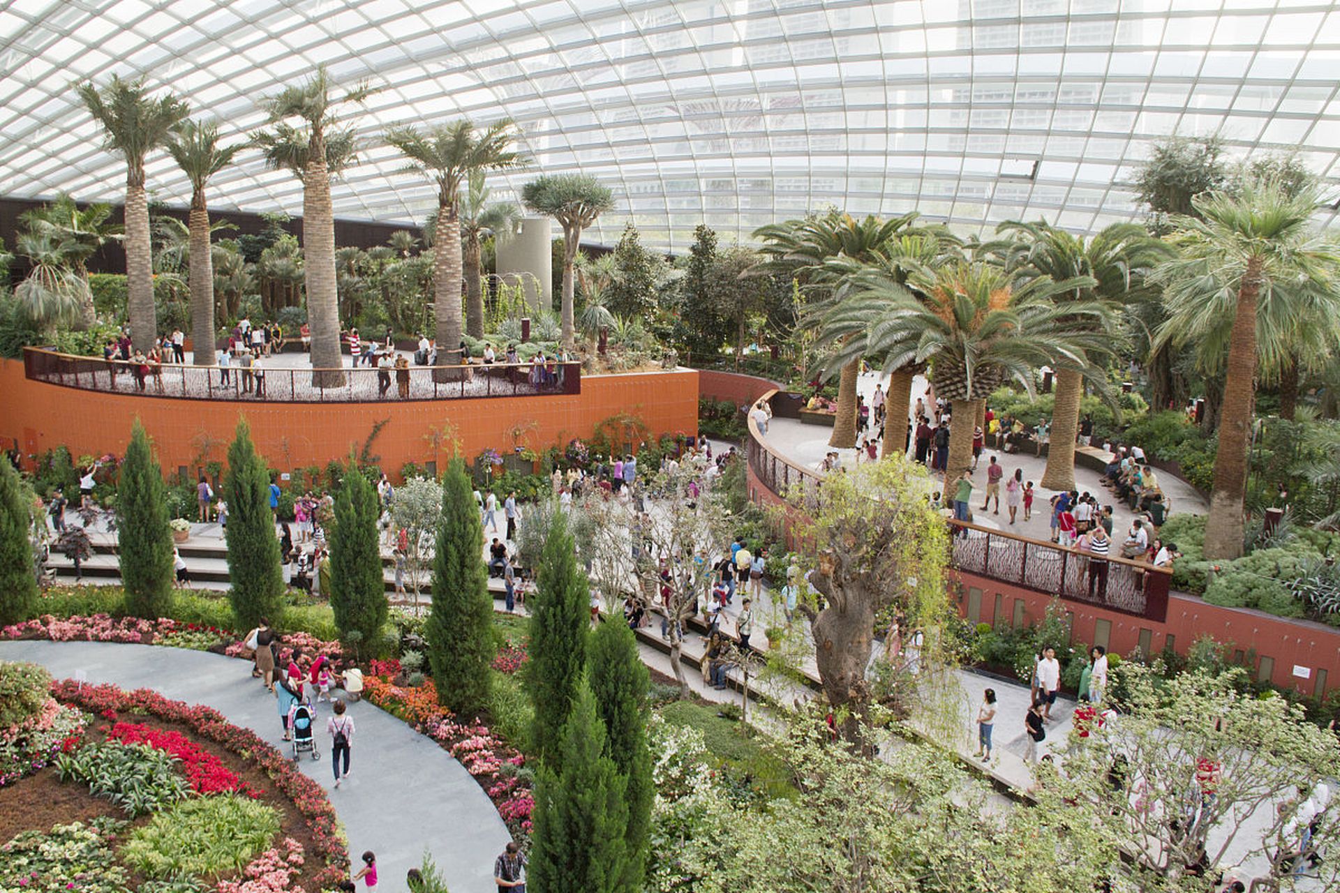 动态优创月#天津热带植物观光园,亚洲最大室内植物园,位于天津市.