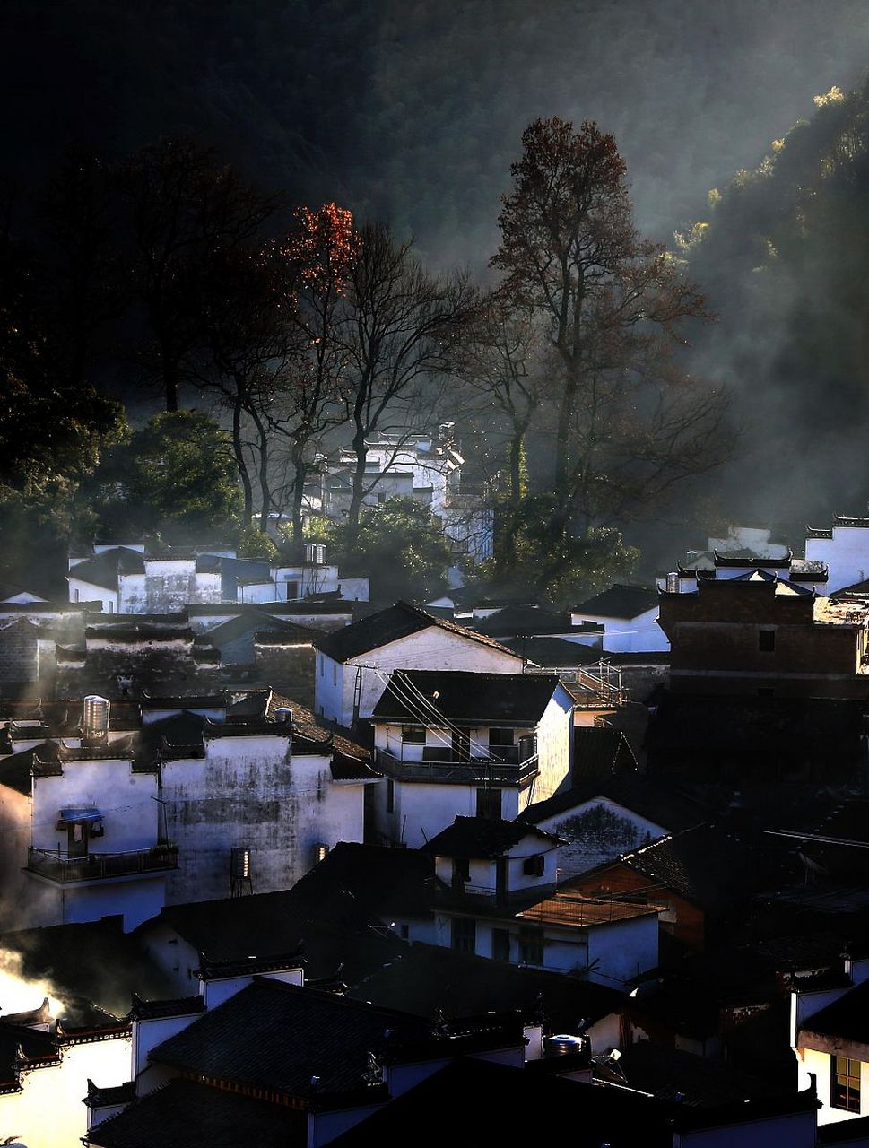 这里,传统与现代的碰撞,孕育出一幅生机勃勃的乡村振兴图景,它告诉