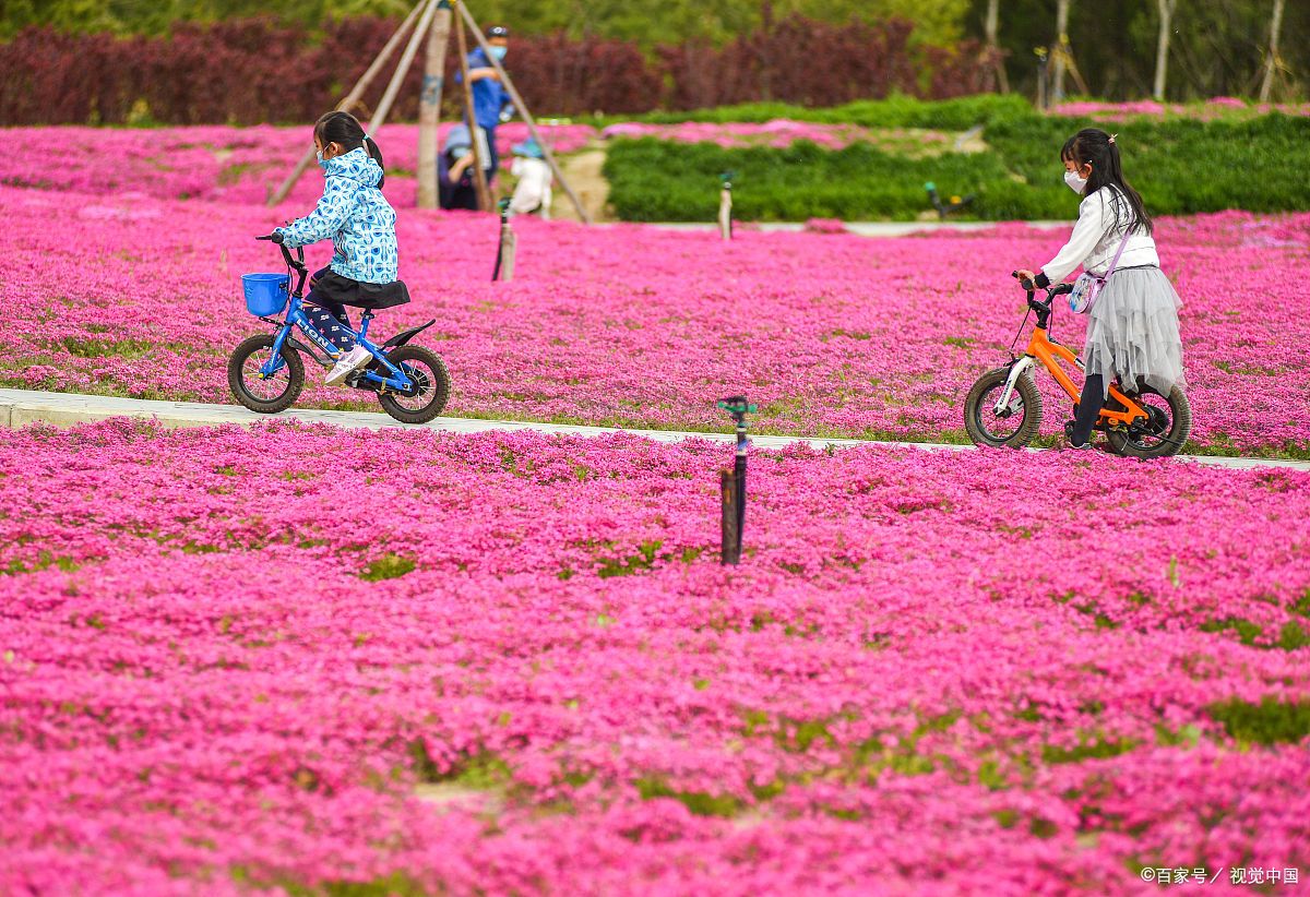 百花谷风景区(百花谷风景区:走进绿意盎然的世外桃源)