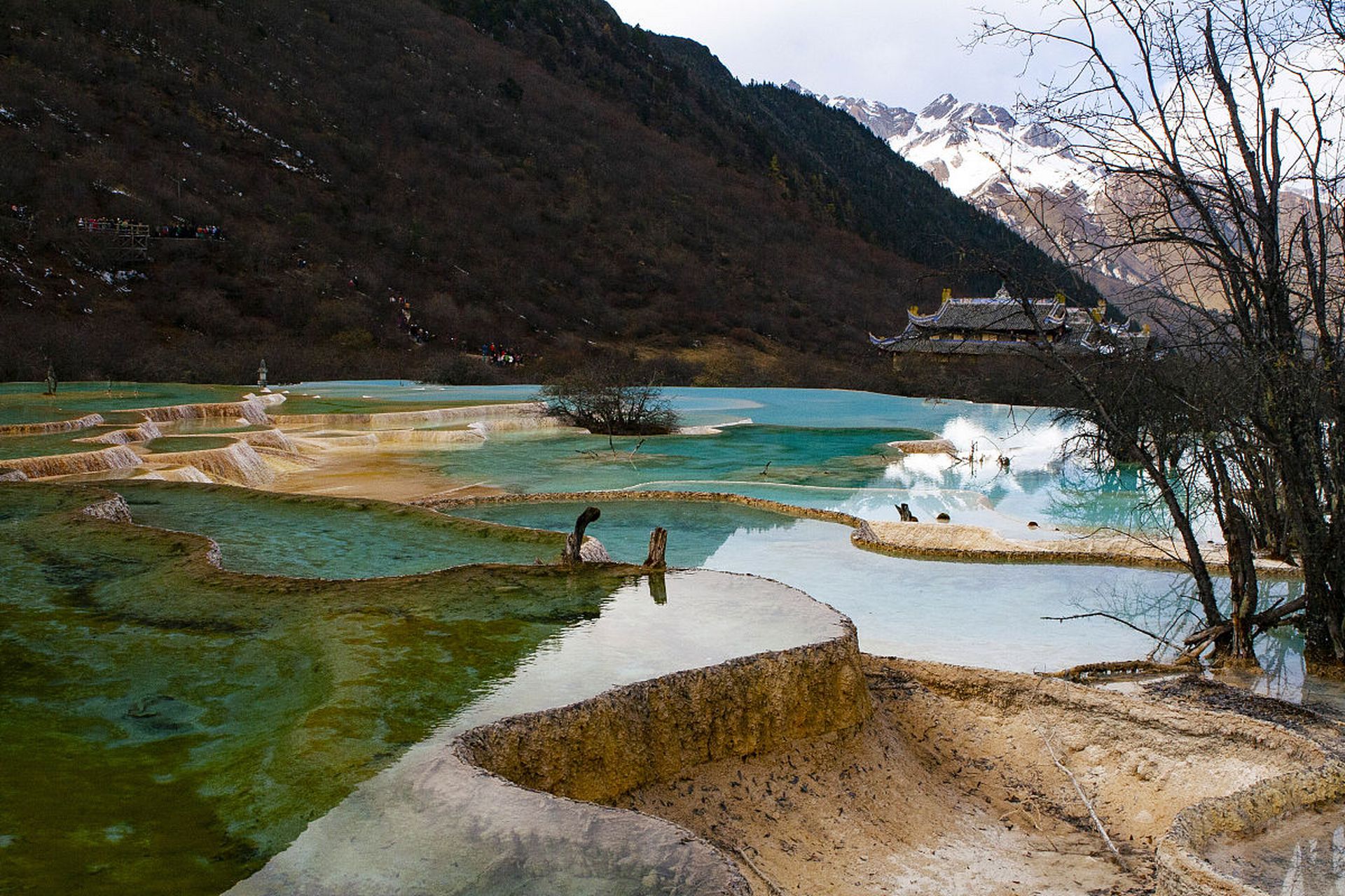 巴塘措普沟景区,这个藏匿在大自然怀抱中的秘密花园,正静静地等待着你