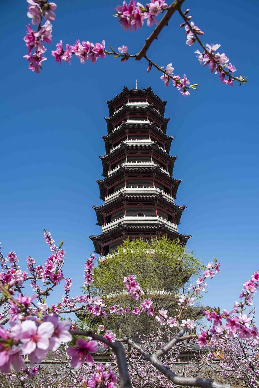 潍坊,这座城市虽被更有名的淄博和青岛所夹持,却拥有无与伦比的旅游