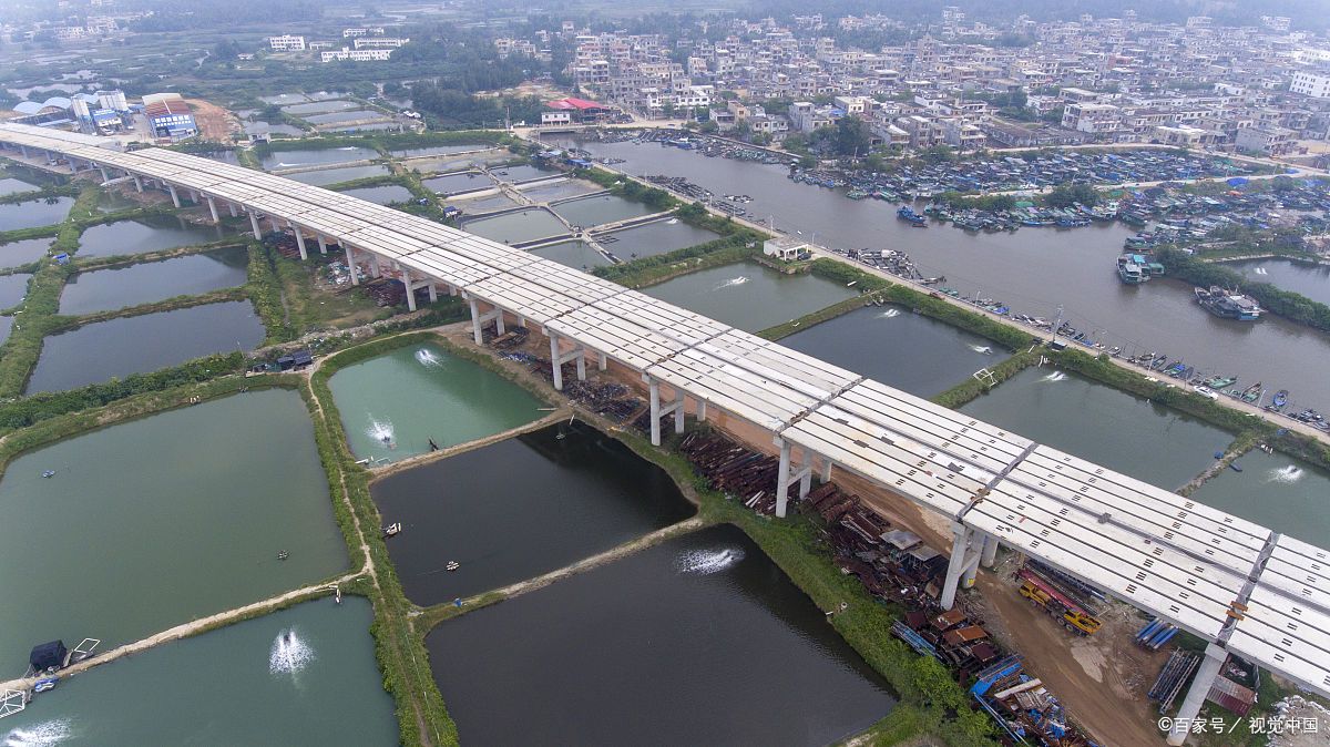 琼海大乐万泉河大桥探秘:漫步云端之桥,品味"琼海嘉积鸭"的绝美之旅!
