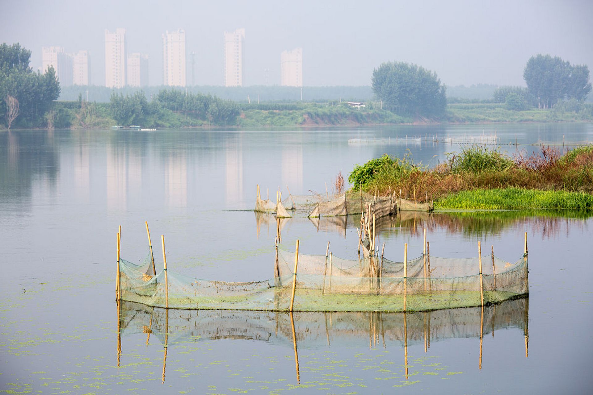 永宁湖湿地公园图片