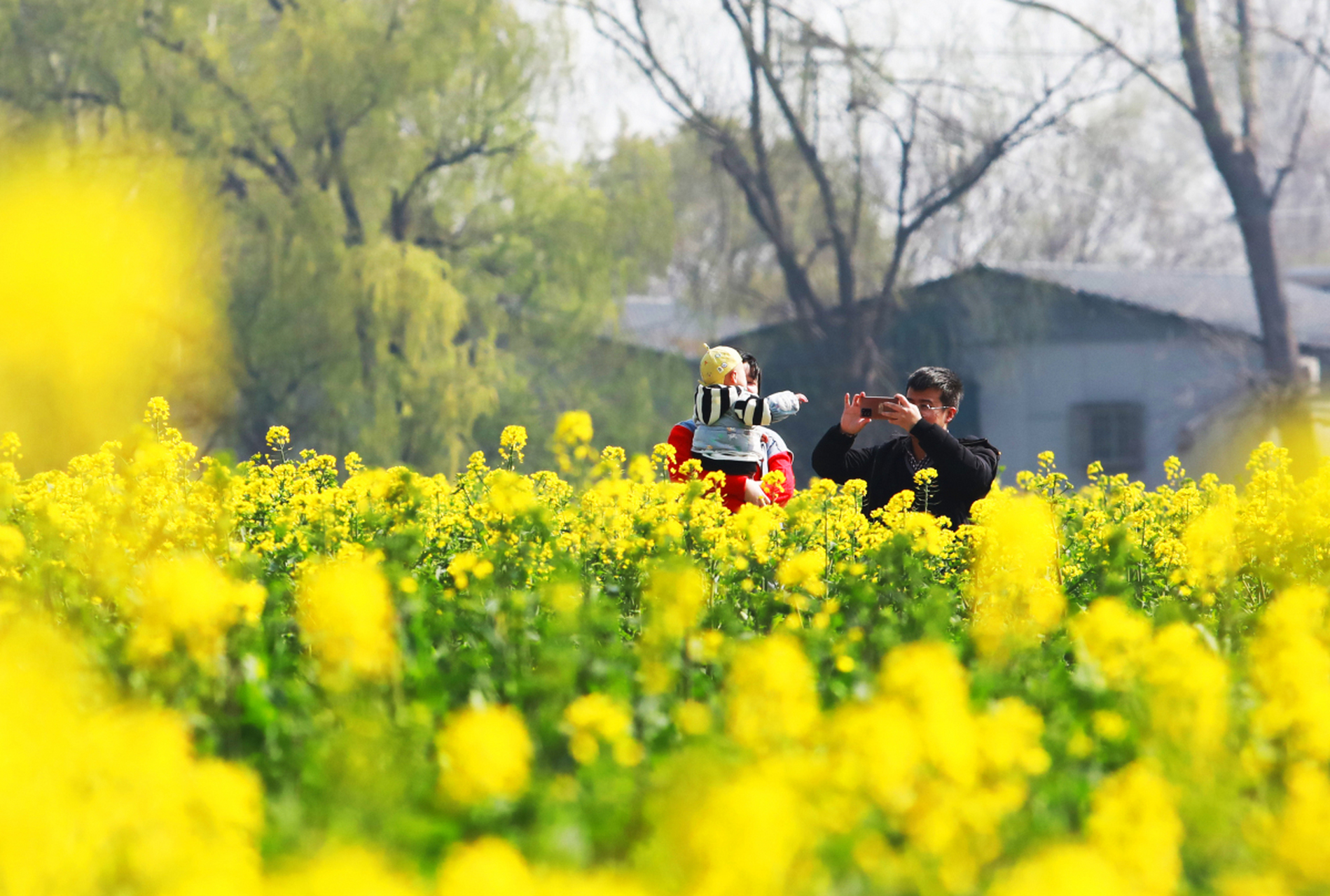 踏青是指春天到郊外游玩,享受春天的美好景色,也称为"踏春","探春","