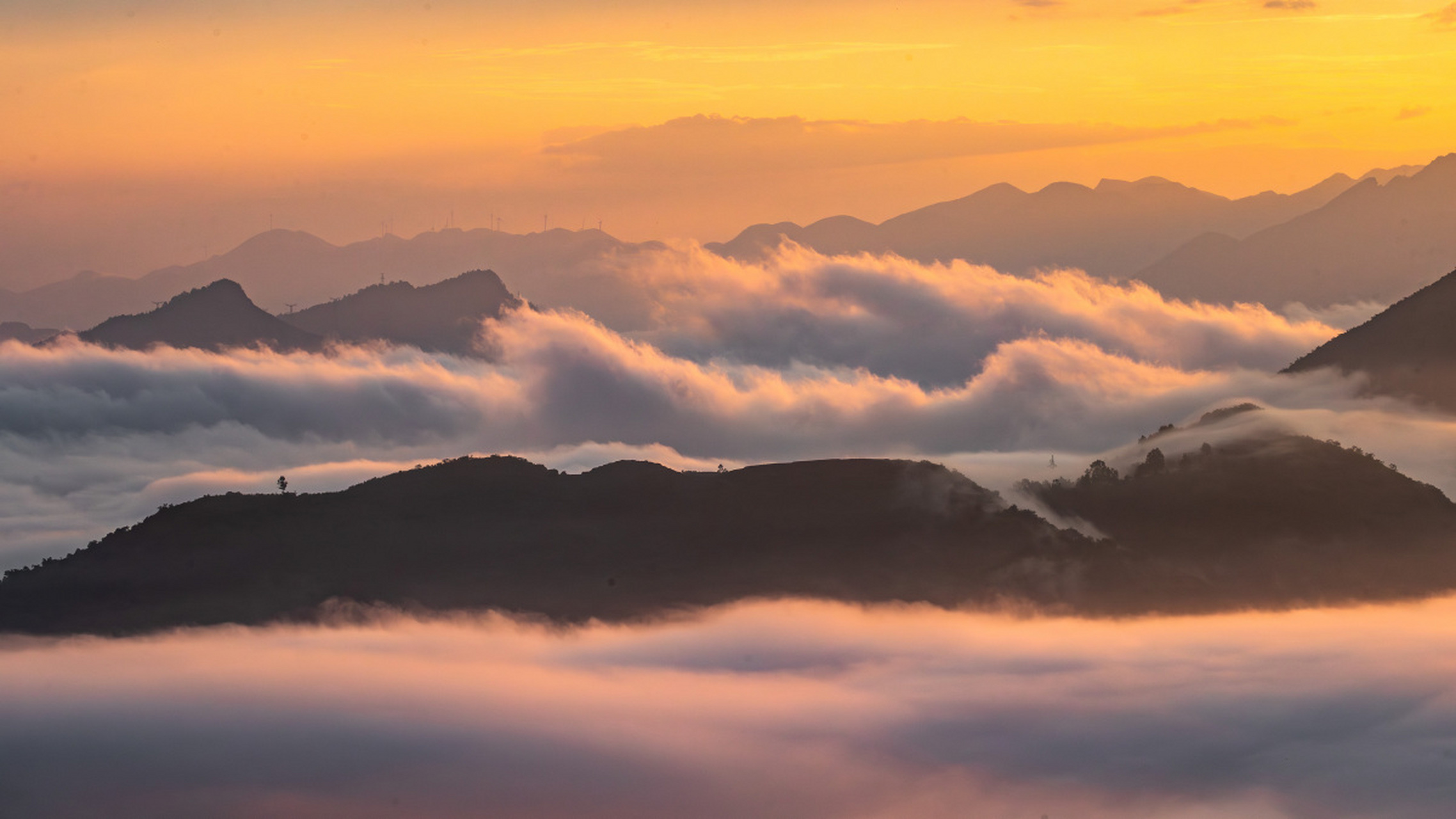 重庆金佛山,位于南川区,是大娄山山脉中的瑰宝.