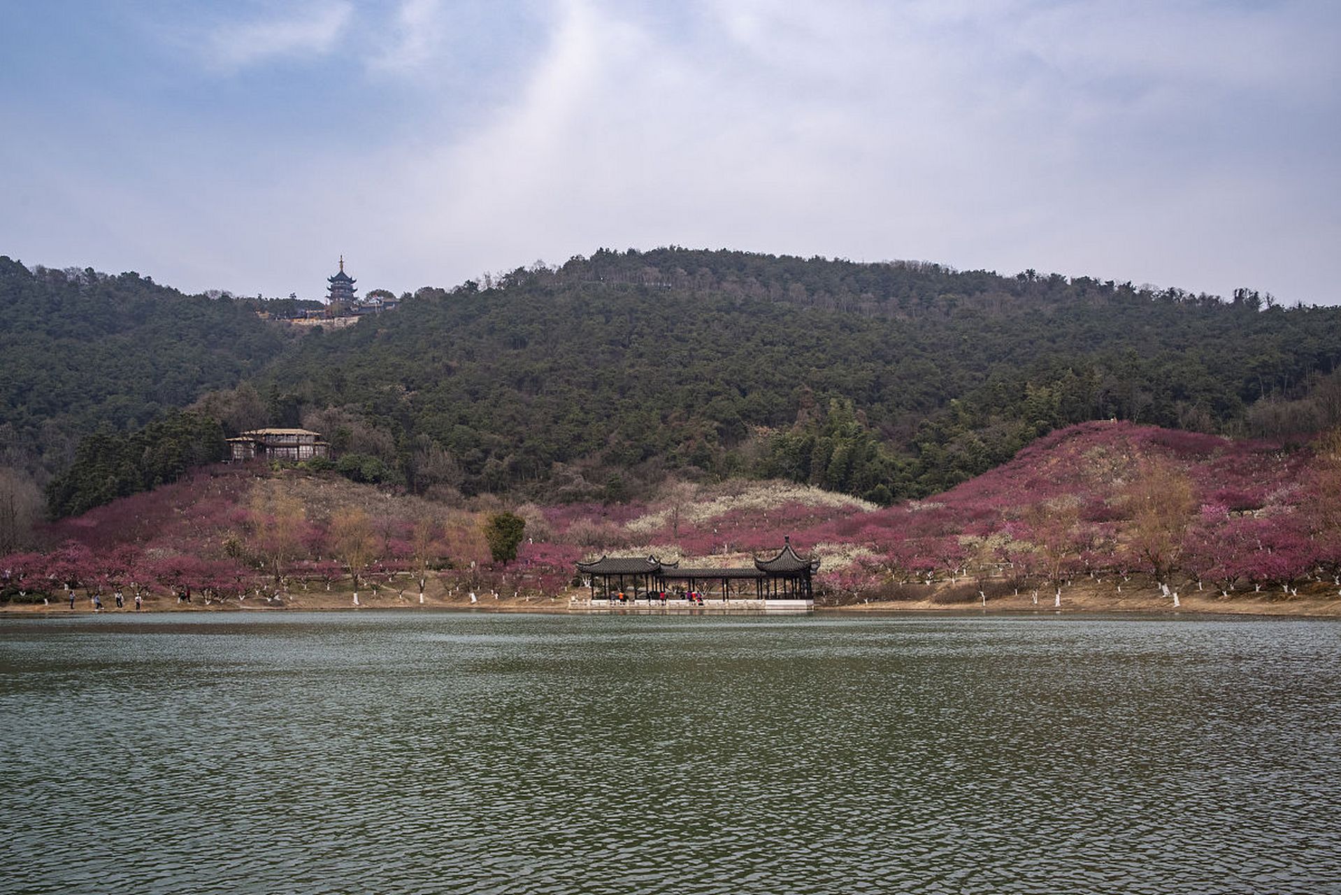 谈香山浪漫旅游区图片