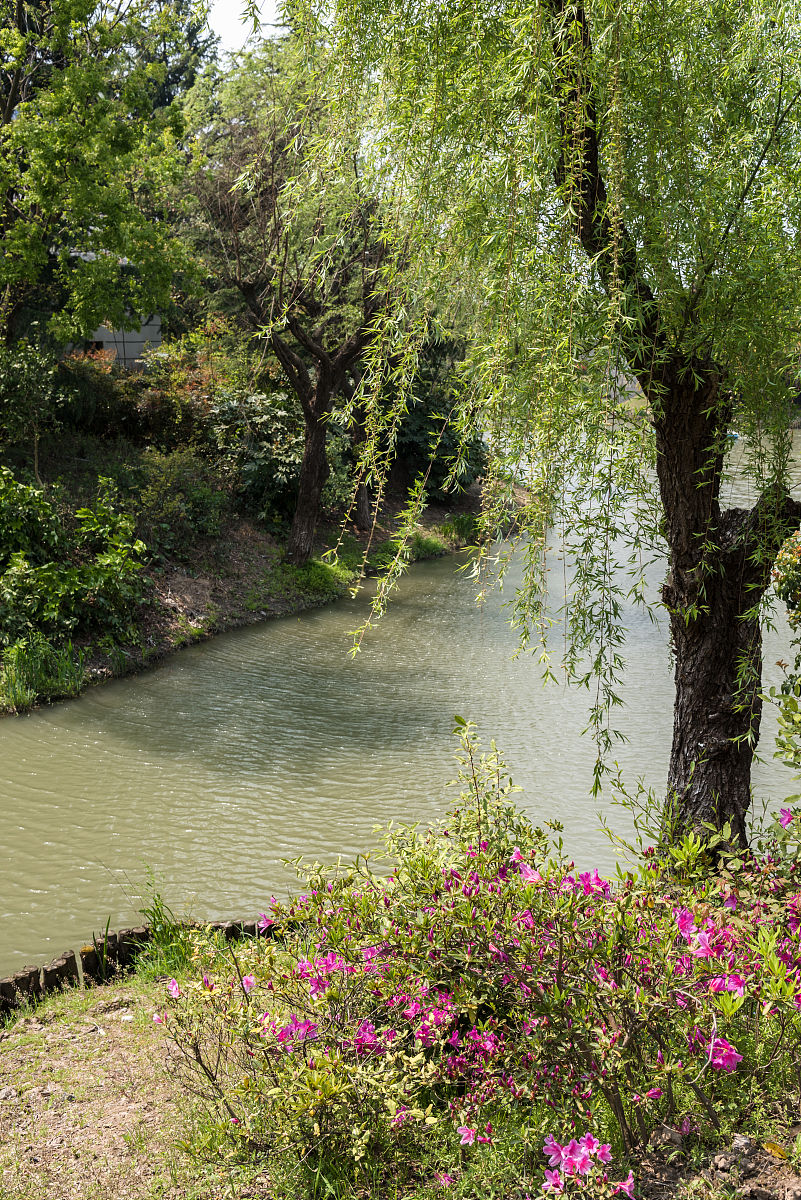 东莞寮步湿地公园图片