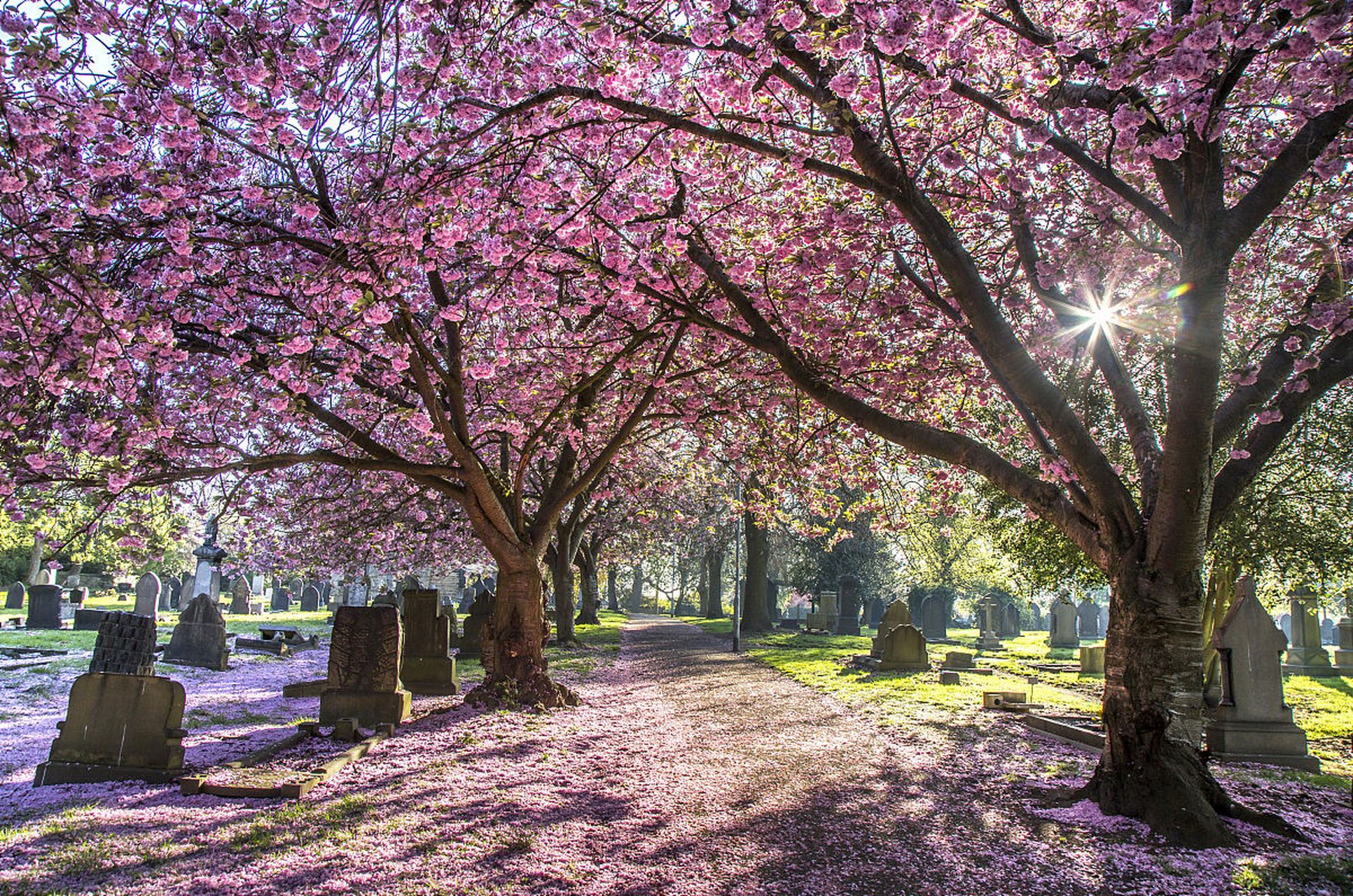 金谷园  西晋的时候,  这里曾是当时的首富石崇的住宅,  金碧辉煌