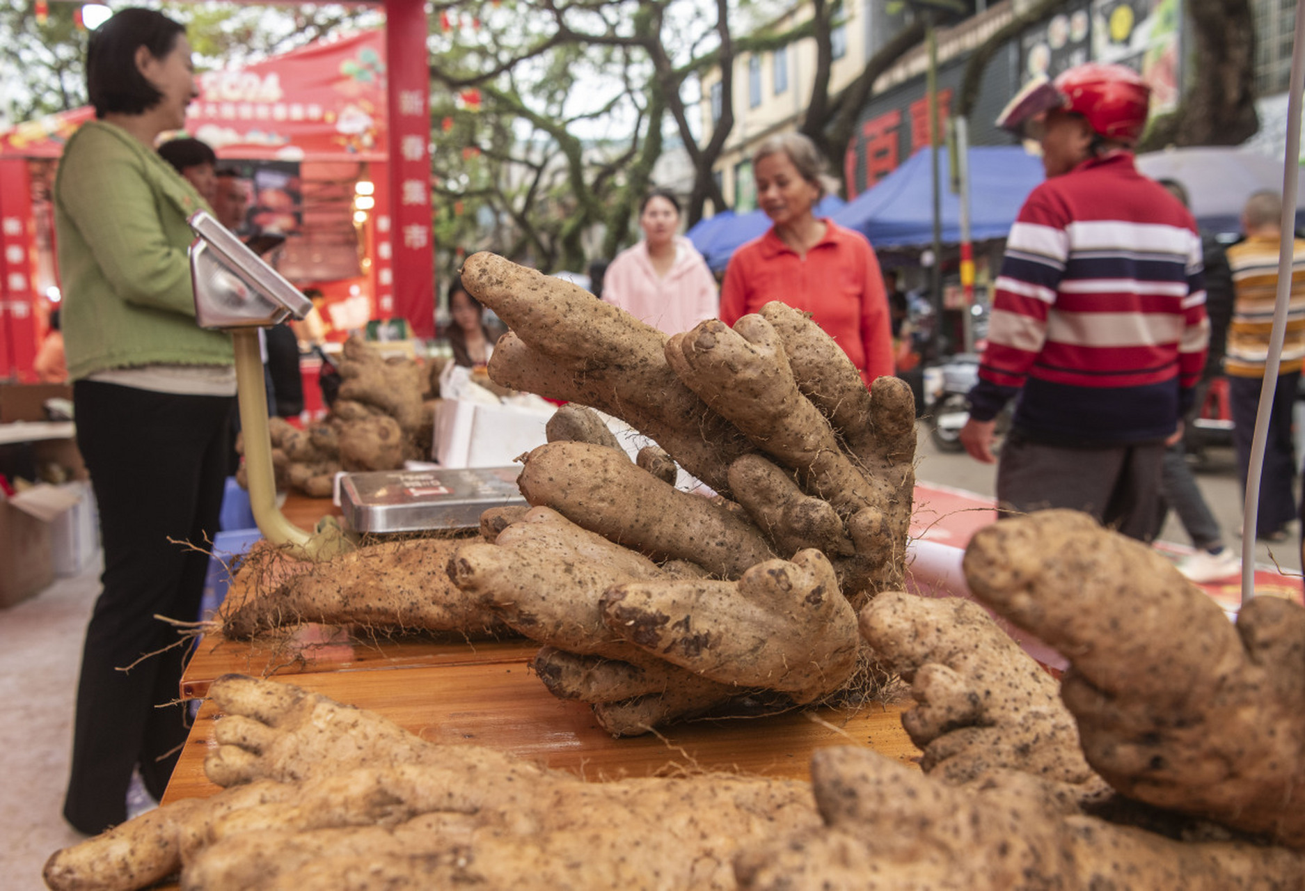 95浙江磐安有个超级神秘的特产——磐安天麻!