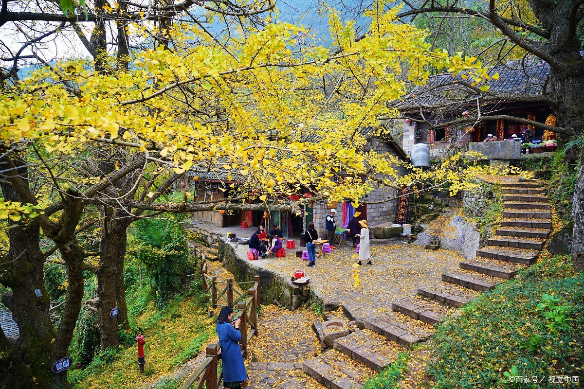 海洋乡大桐木湾村,一个让人心醉的地方.