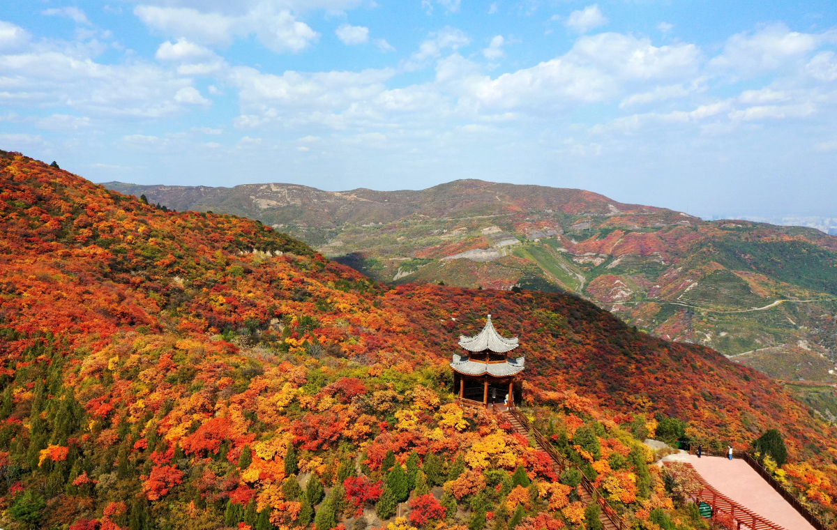 鹿泉旅游景点大全