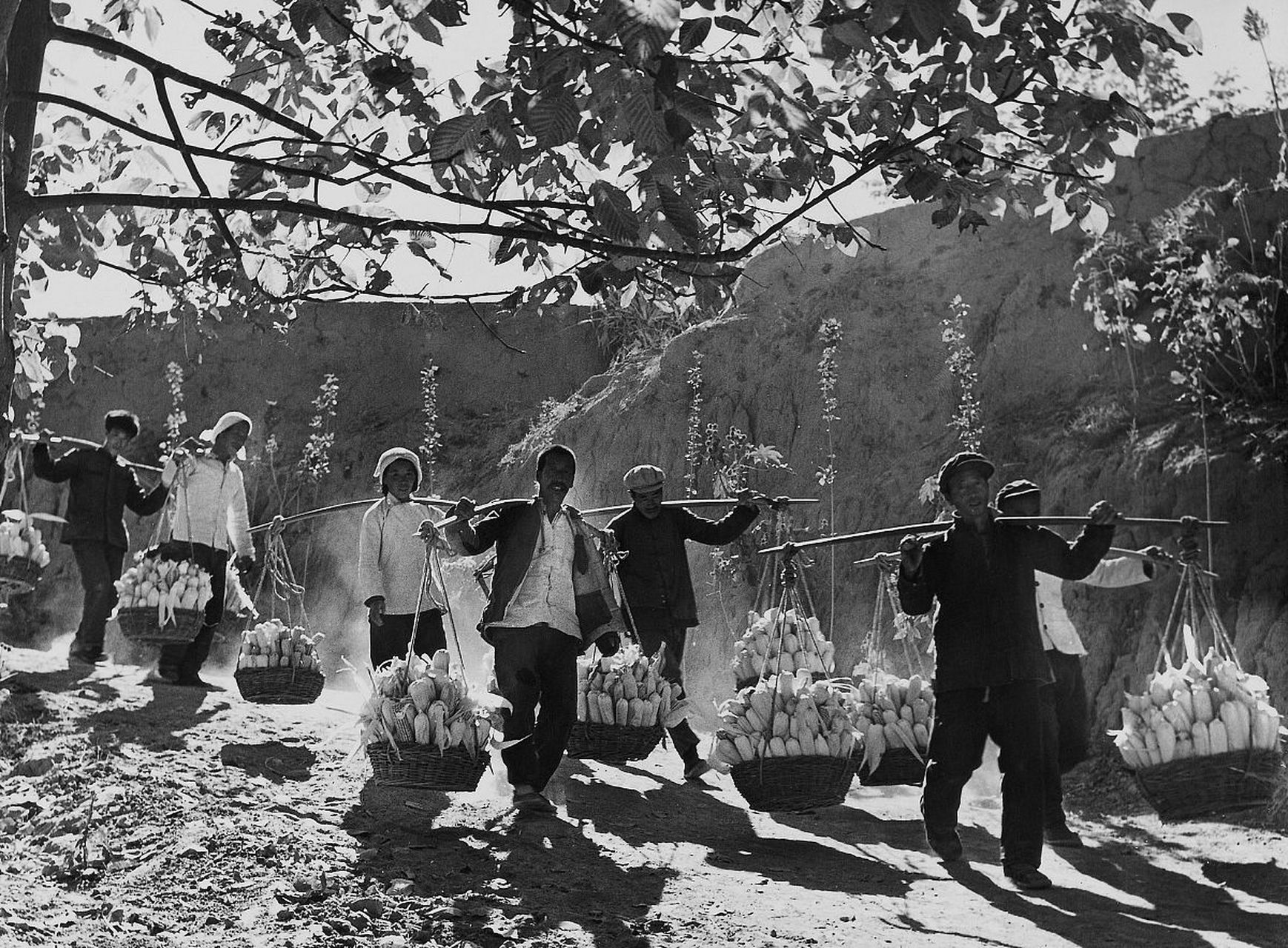 土地革命时期,浙西处州,婺州地区的斗争与浙南温州,台州地区的斗争,虽