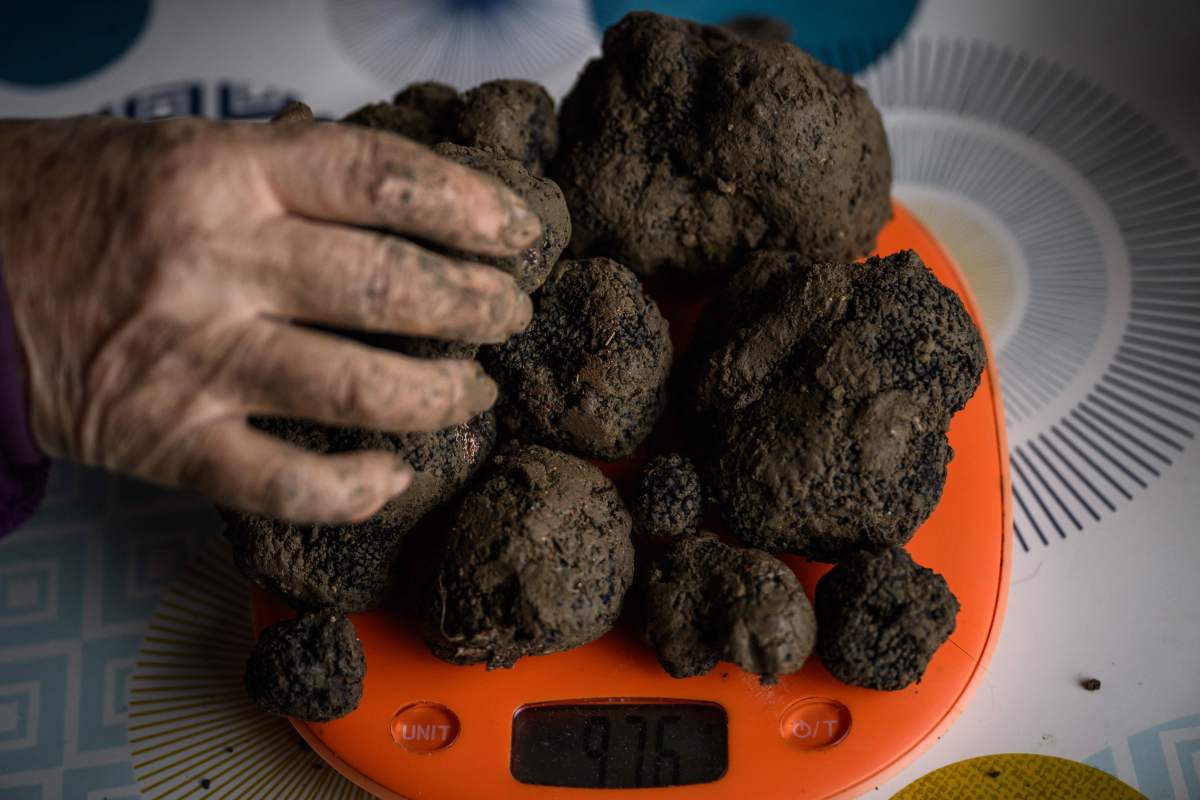 土疙瘩 baijiahao.baidu.com