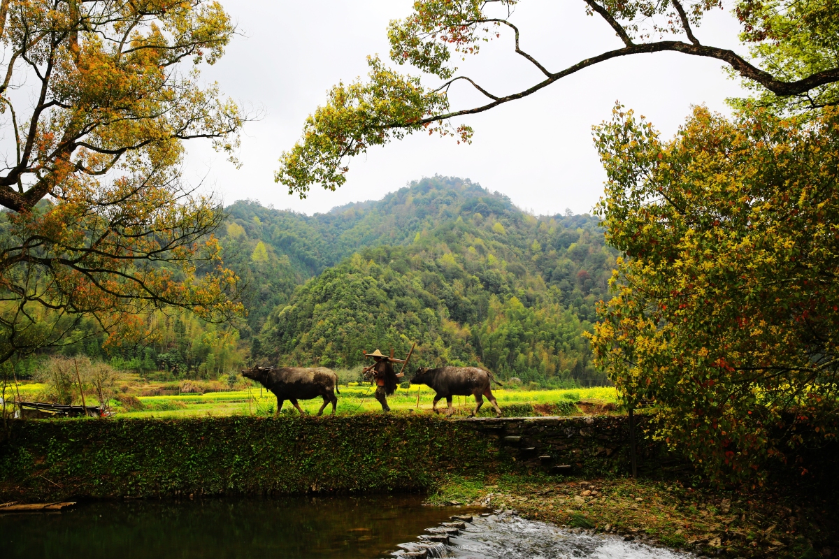 帘窗即挑披衣起, 梯堰随弯踏垄行. 盛世繁荣行富路, 小家丰满步福程.