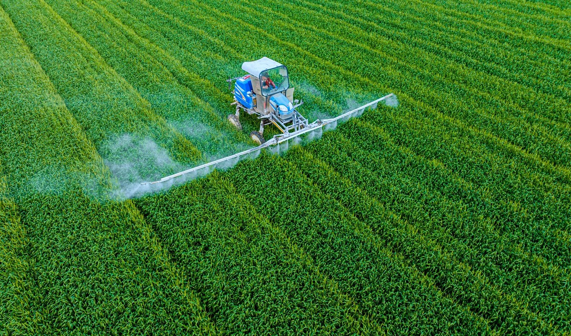 社会发展从狩猎社会,到农业社会,再到工业社会,再到人工智能,这是正常