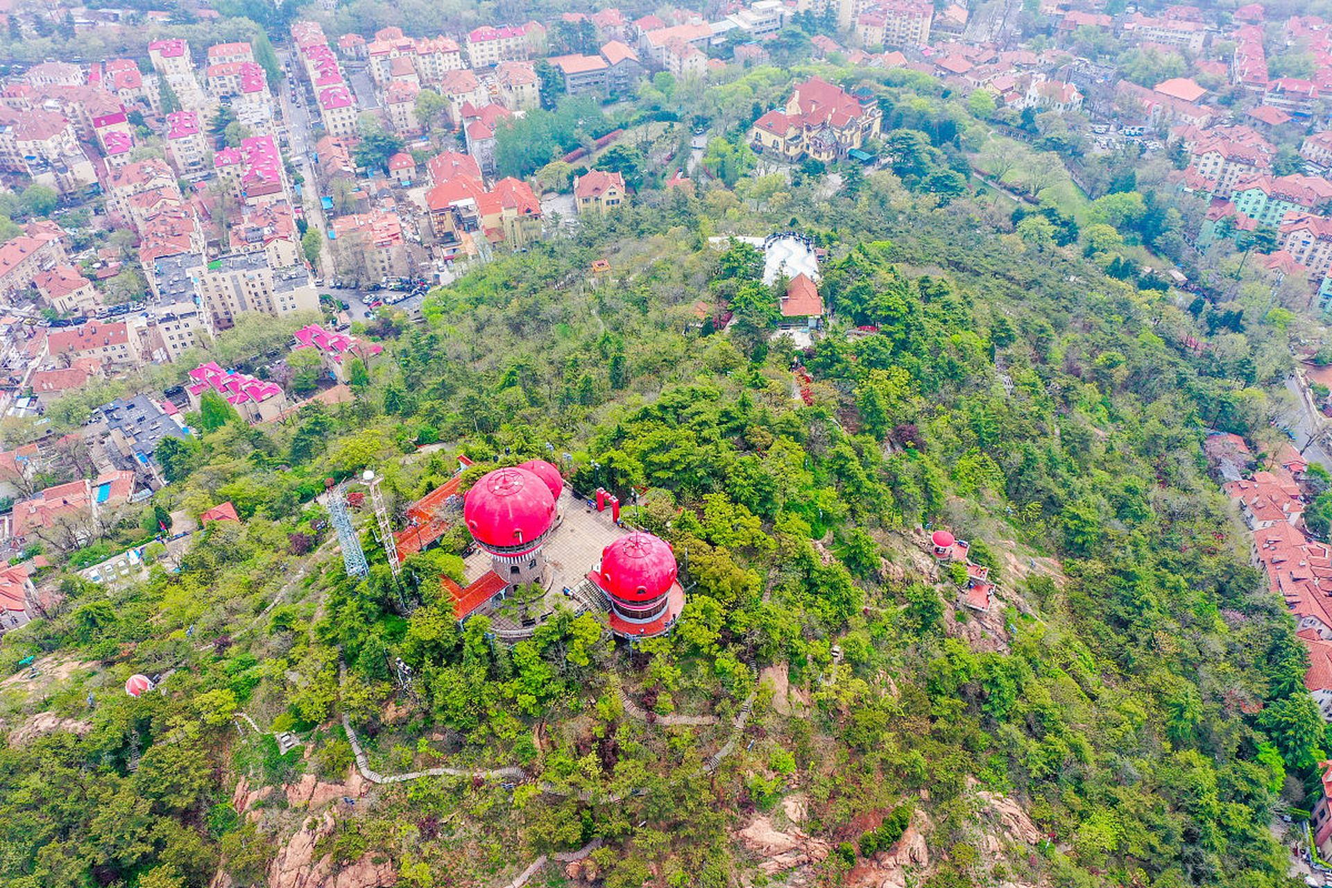 信号山公园,这是青岛市内的一座山,山顶有一个信号塔,可以俯瞰整个