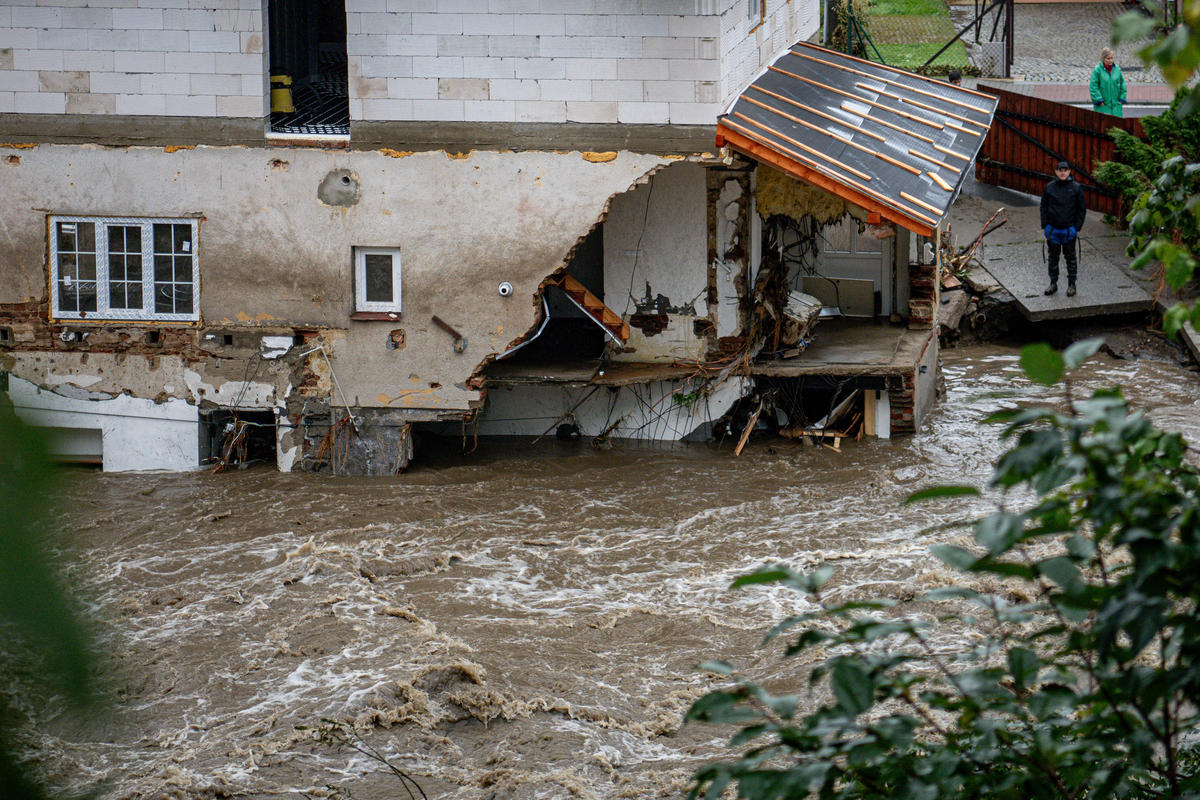 〇超强台风就是场大灾害 大街上铺满厚厚的树叶 有的弱黄或枯黄更多的