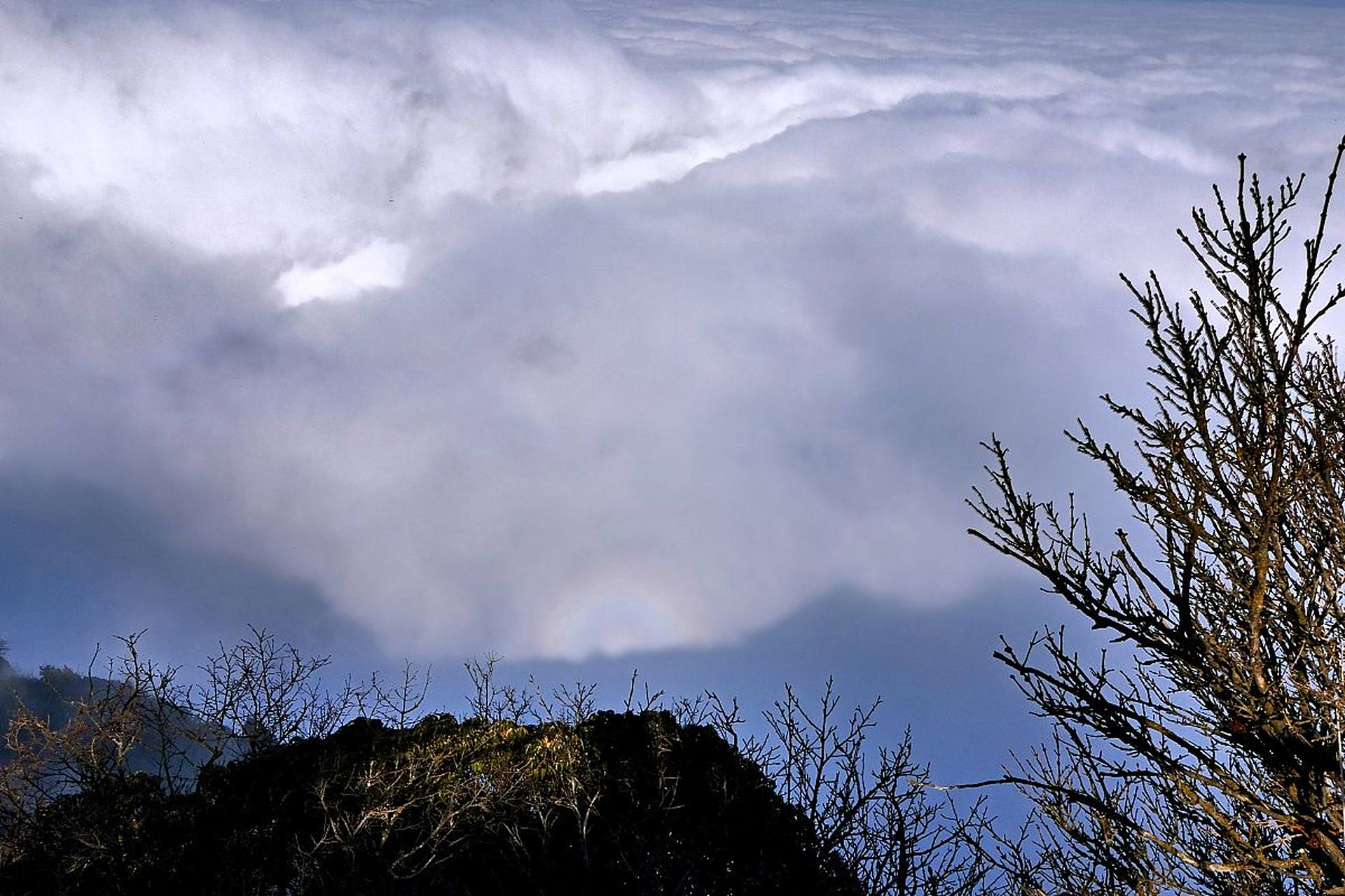 雪山千古冷,独照峨眉峰.这是一个关于孤独与寂静的故事.