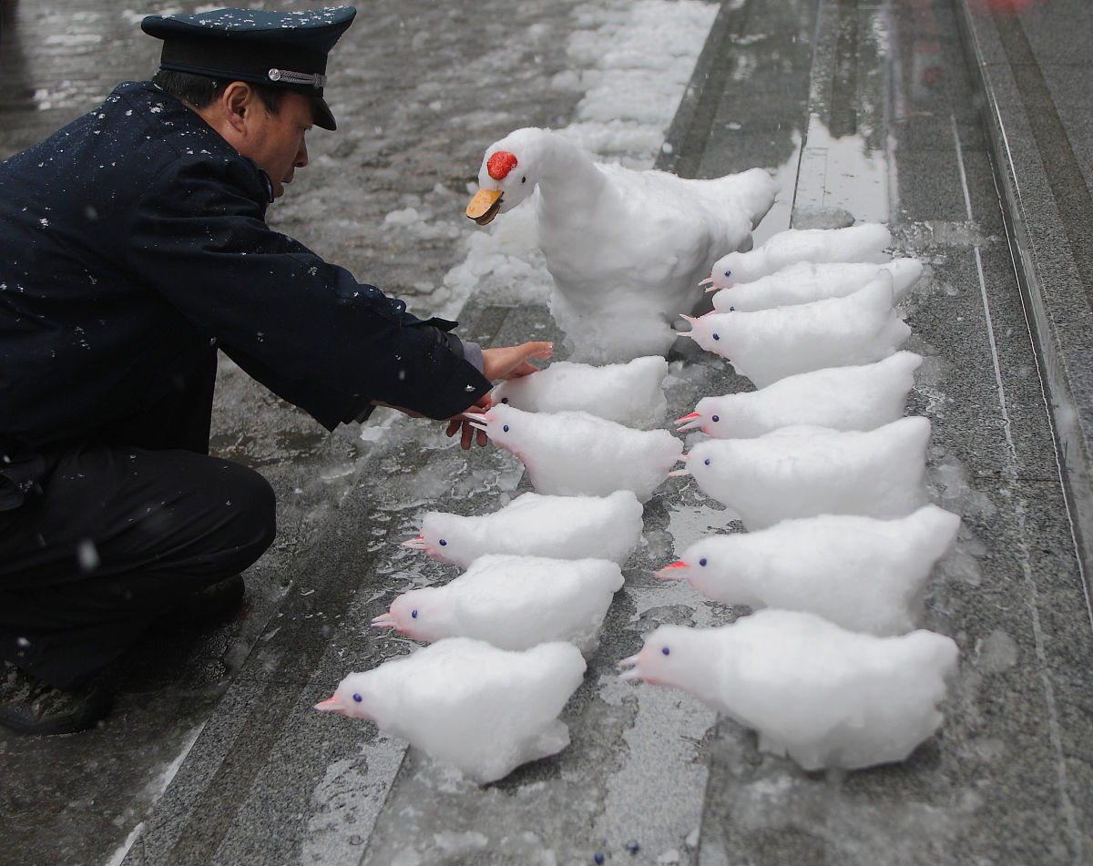 扫雪动物图图片