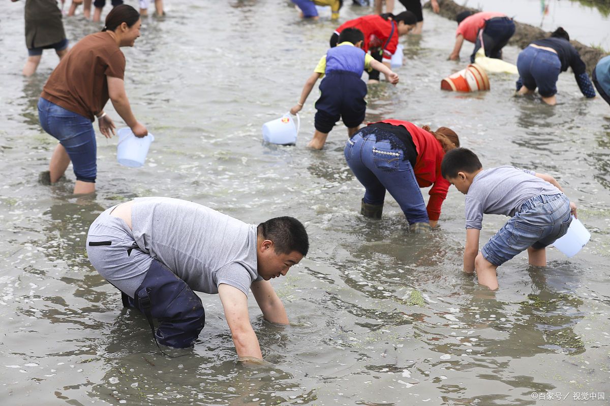 外贸公司办公室二十平米,装了五个摄像头,你觉得正常吗?