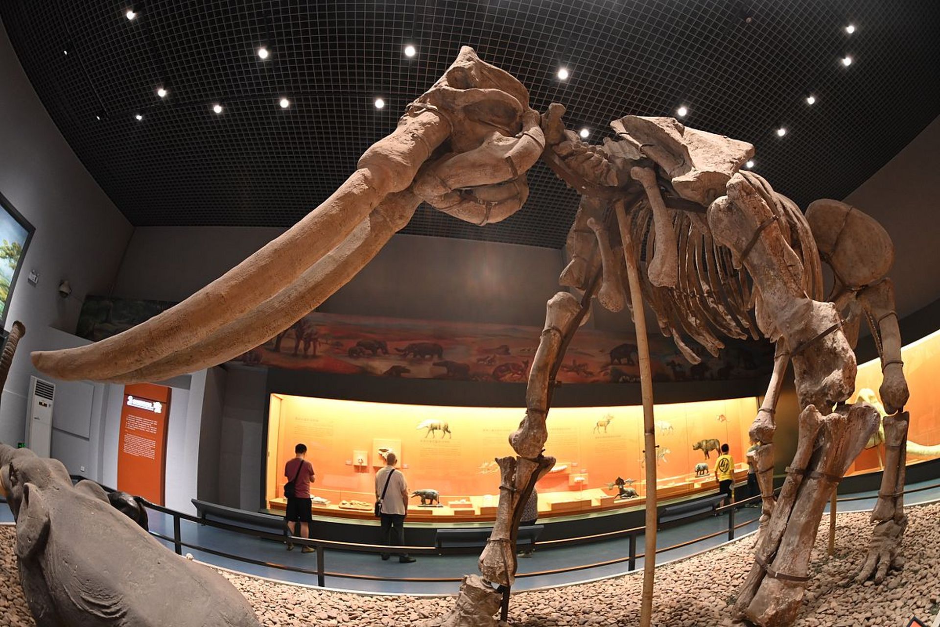 位于太原市滨河西路的山西地质博物馆是一座专注于矿产资源和地球科学