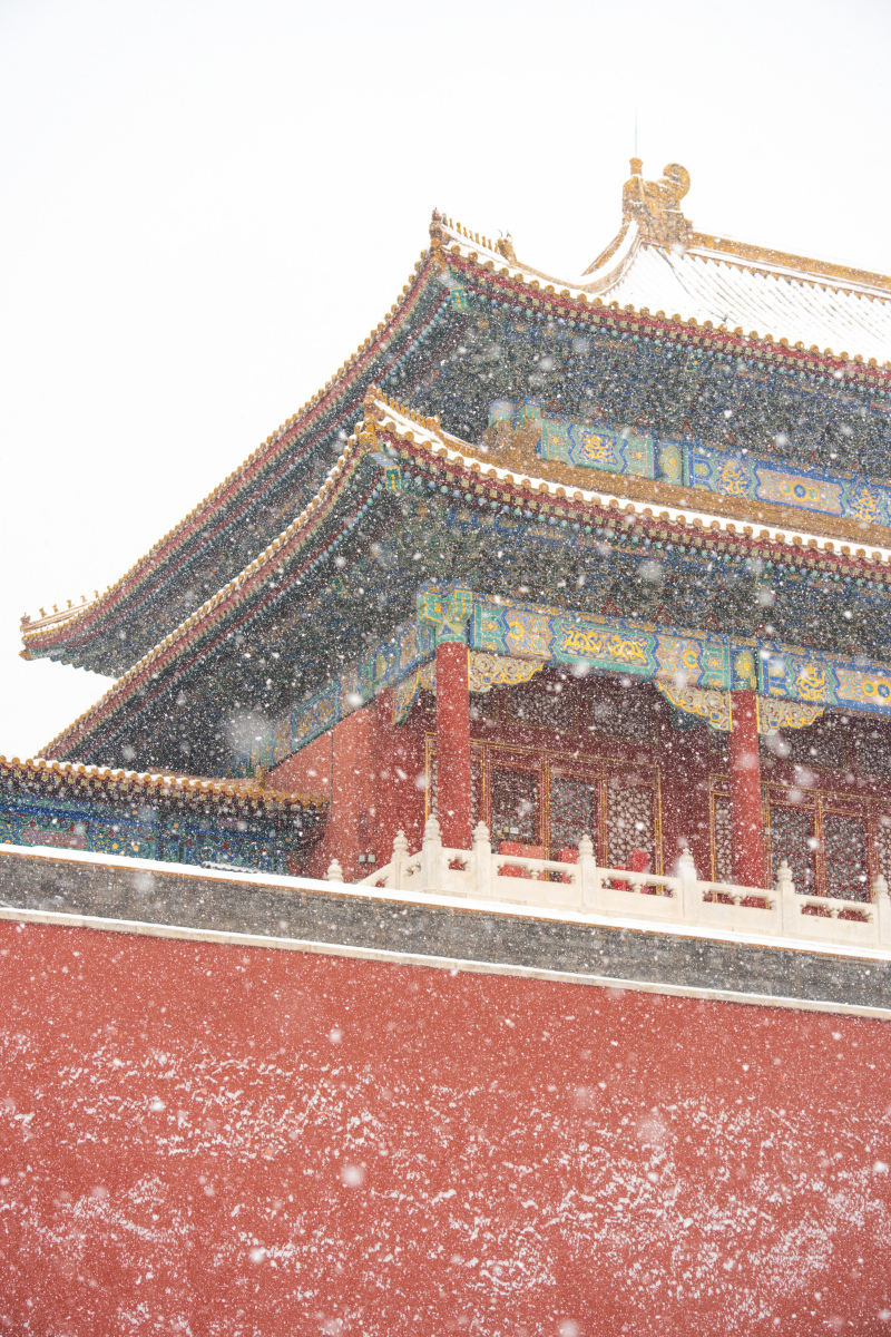 这场大雪给故宫披上了一层神秘的面纱,让人不禁感叹岁月的流转和历史