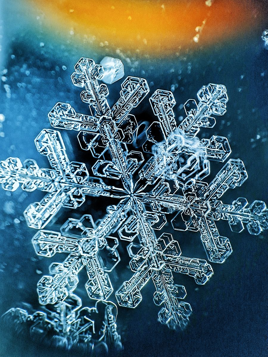 雪花飘飘的冬天