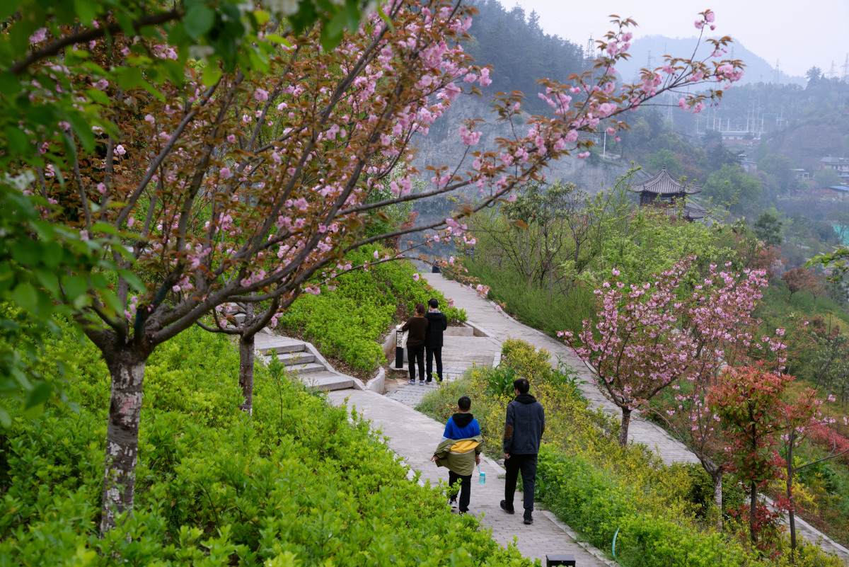 重庆四季好风光#  重庆酉阳桃花源是一处位于重庆市酉阳县的风景名胜