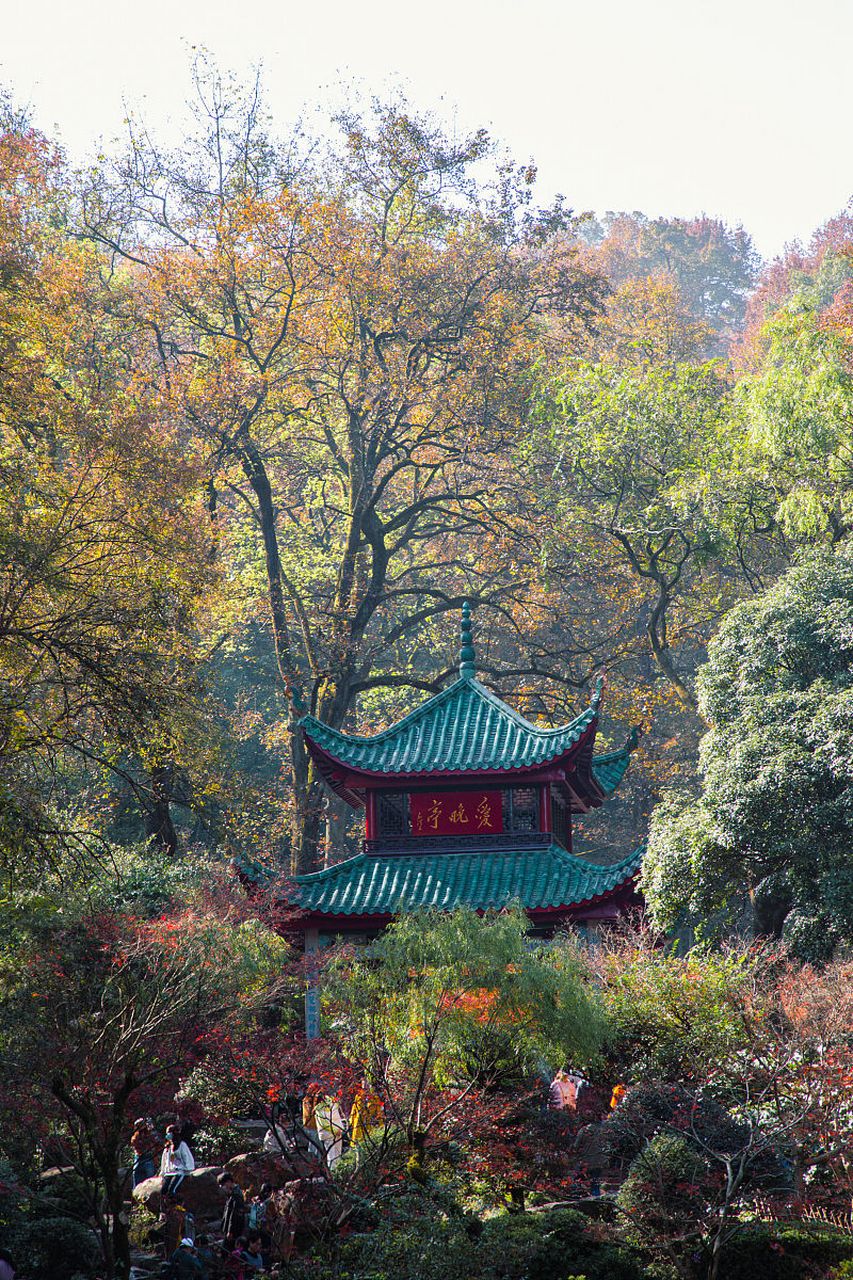 岳麓山春天的景色图片