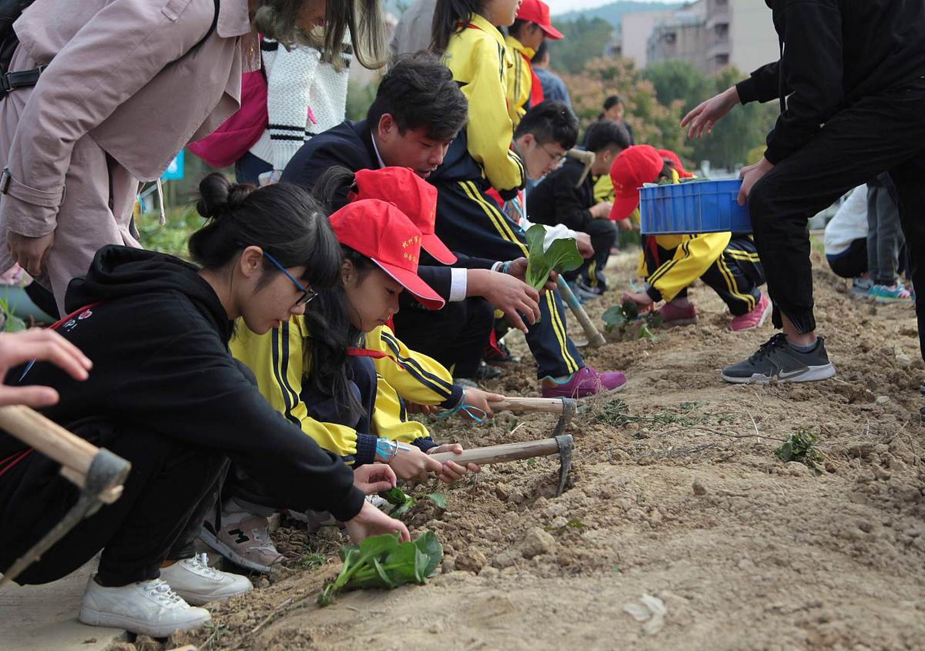 劳动意识:主动参加的家务劳动,生产劳动,公益活动和社会实践中,具有