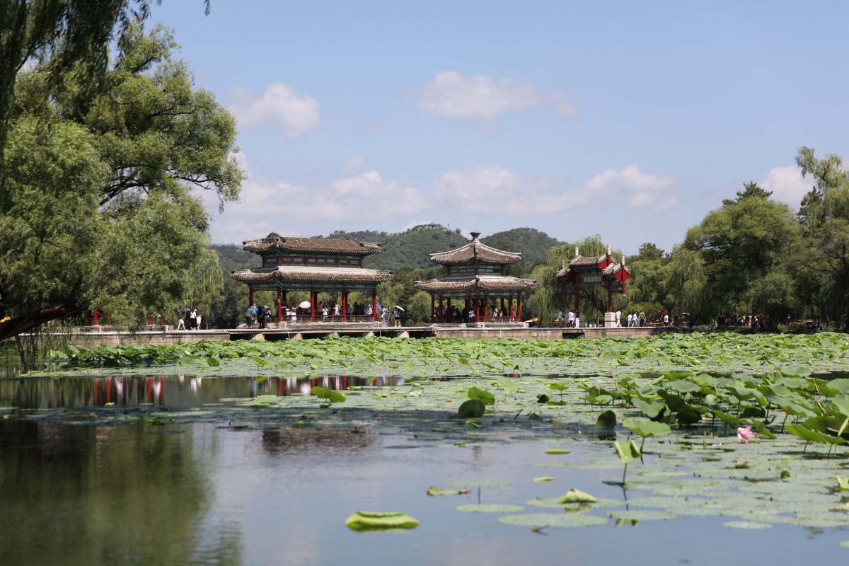 坝上草原旅游：穿越诗意天地