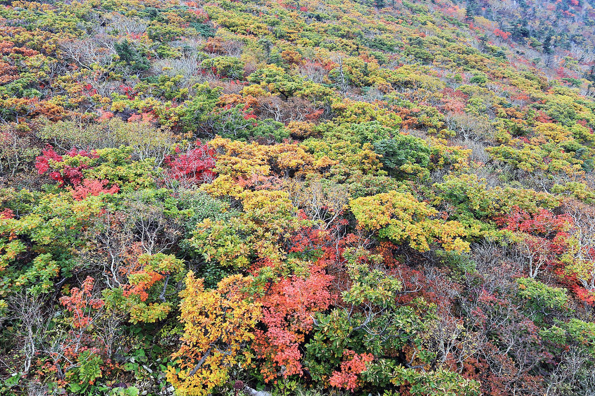 铜梁的巴岳山虽然海拔不算高,只有778米,但这里依然拥有绝美的风景.