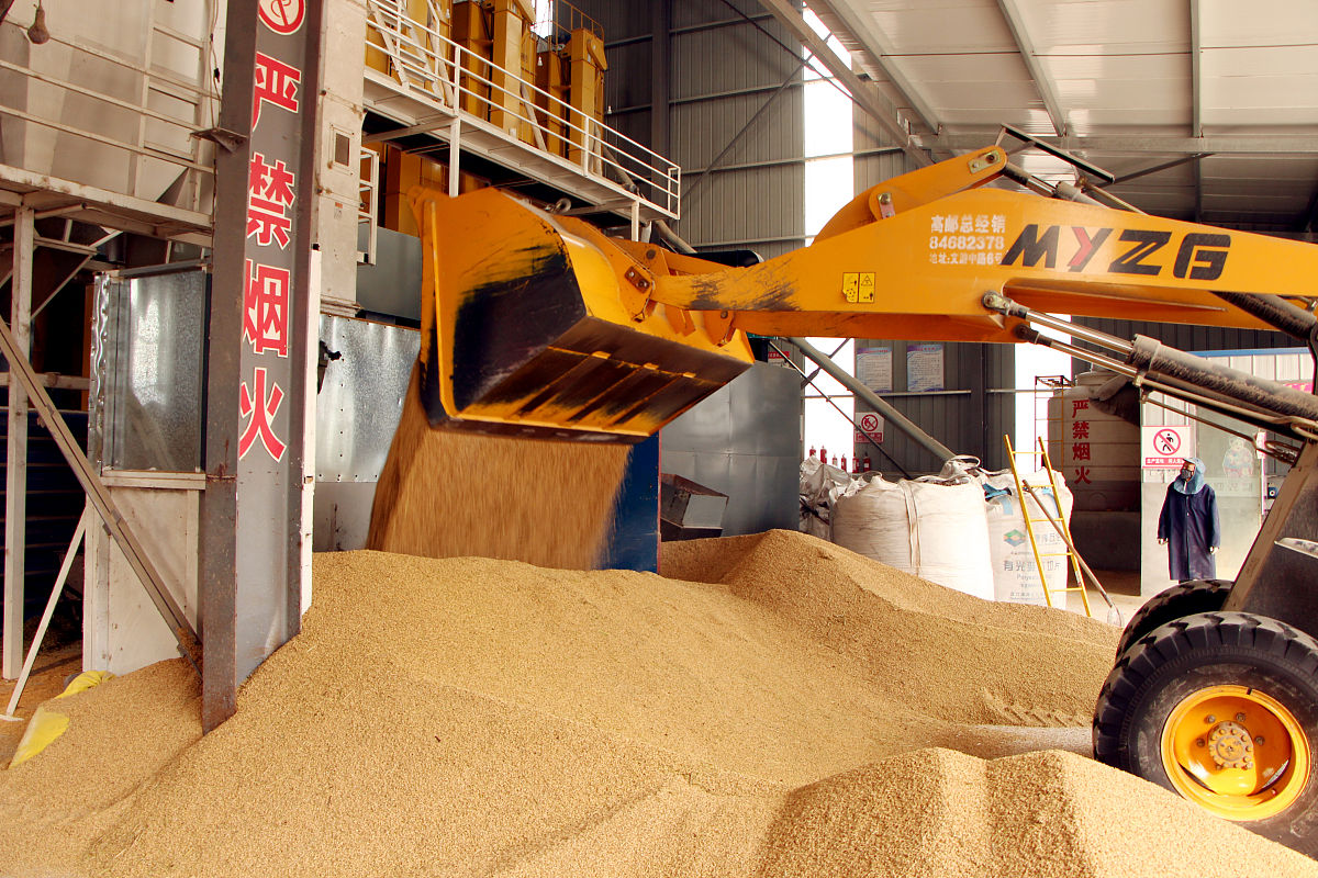 小型20吨粮食烘干机的价格