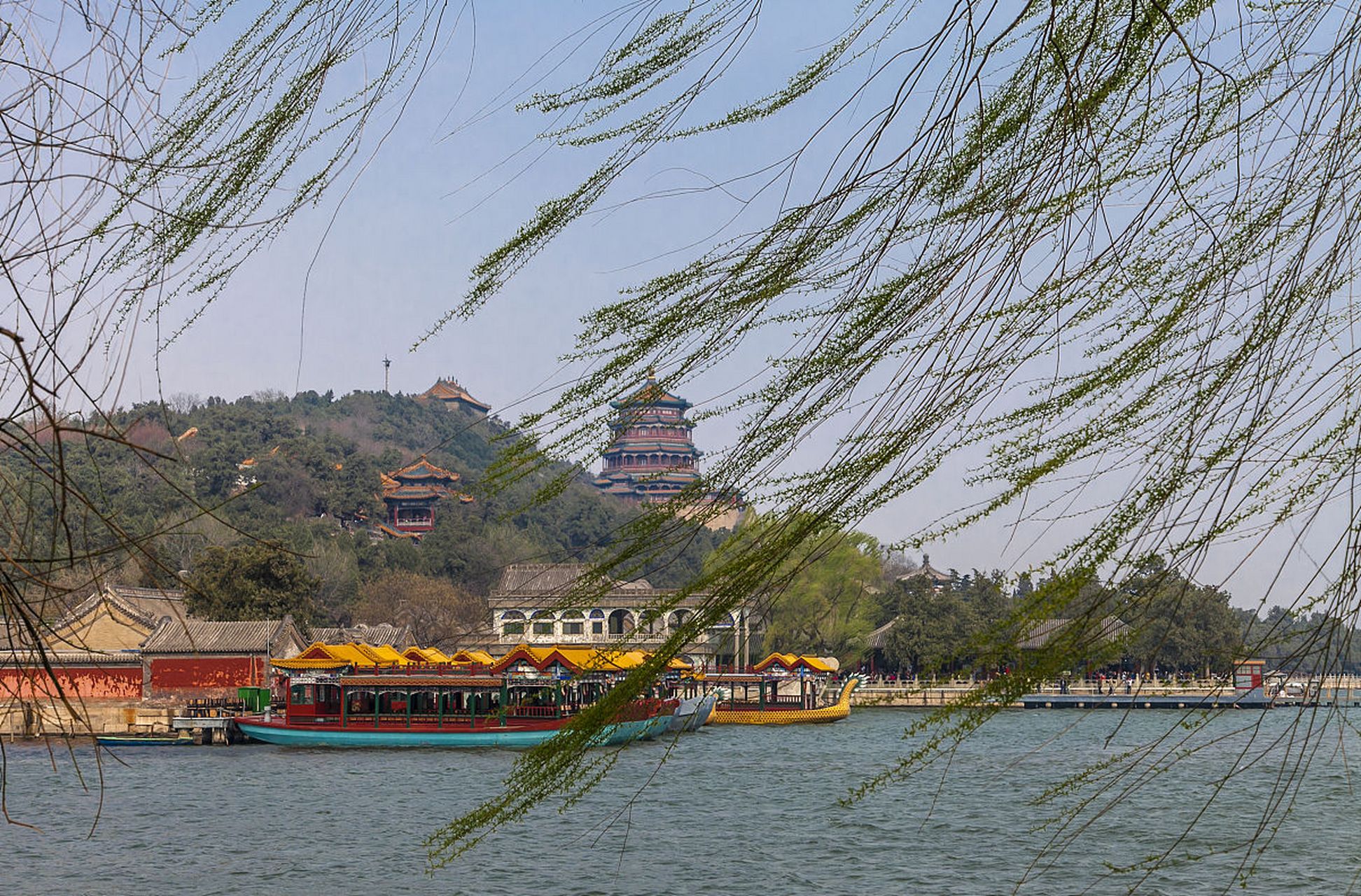起风了,是大自然的呼唤与生命的律动.