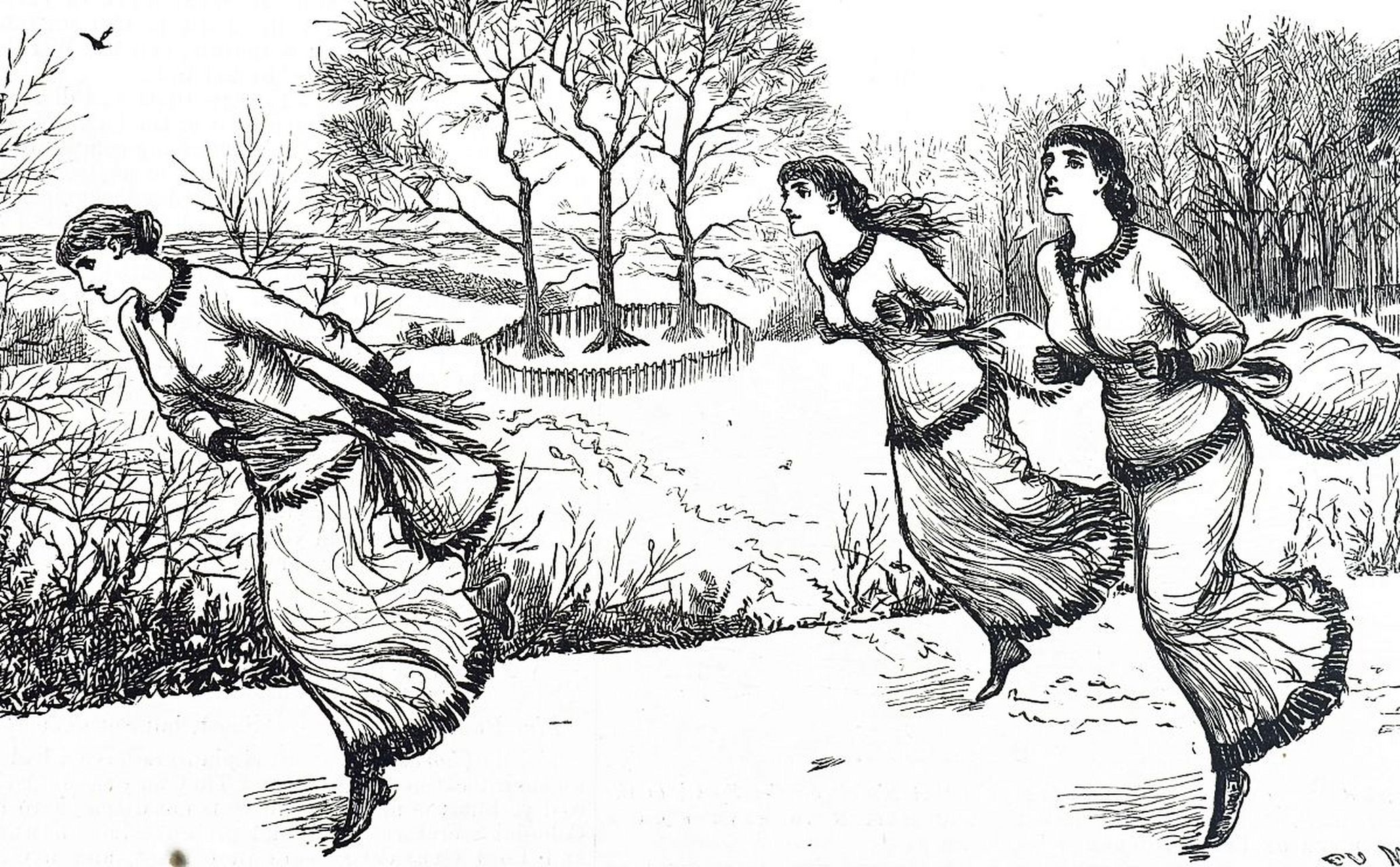 《芣苢》展现了古人对劳动的认识与生活感悟,通过描述妇女采摘车前草