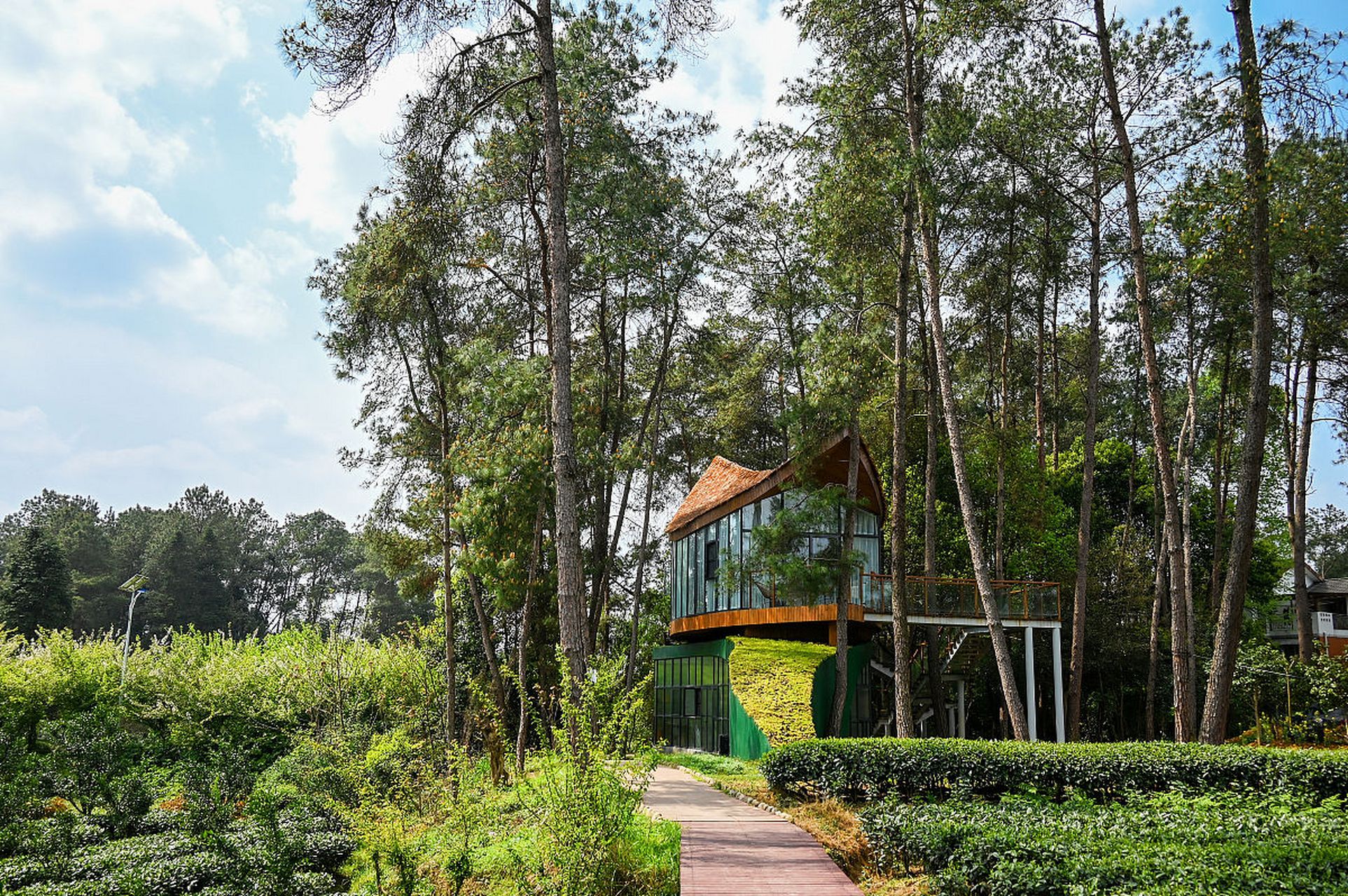 成佳茶乡,位于成都市蒲江县的成佳镇,是一处集自然风光,人文底蕴与茶