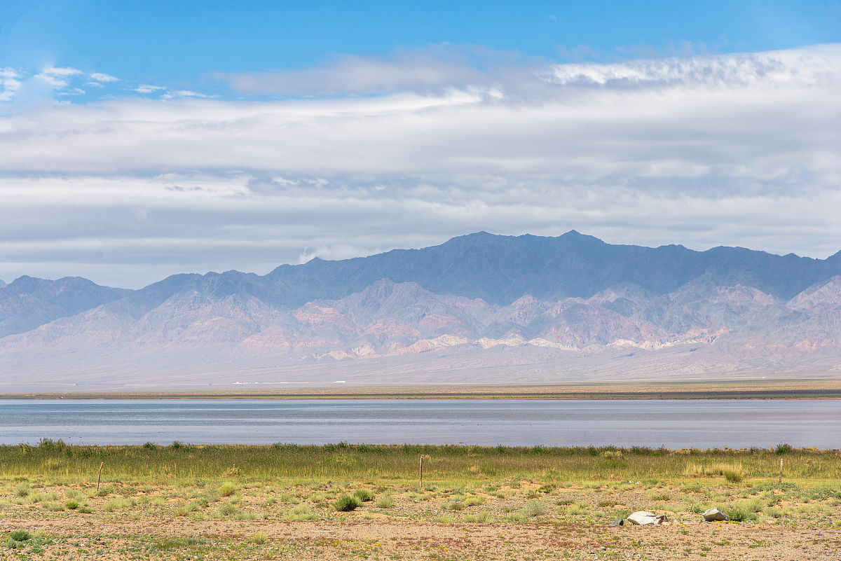 可可西里无人区,不是你浪费生命的地方