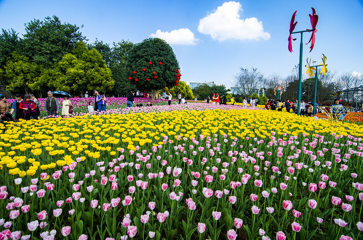 探索柳州:园博园的绿色魅力与文化底蕴